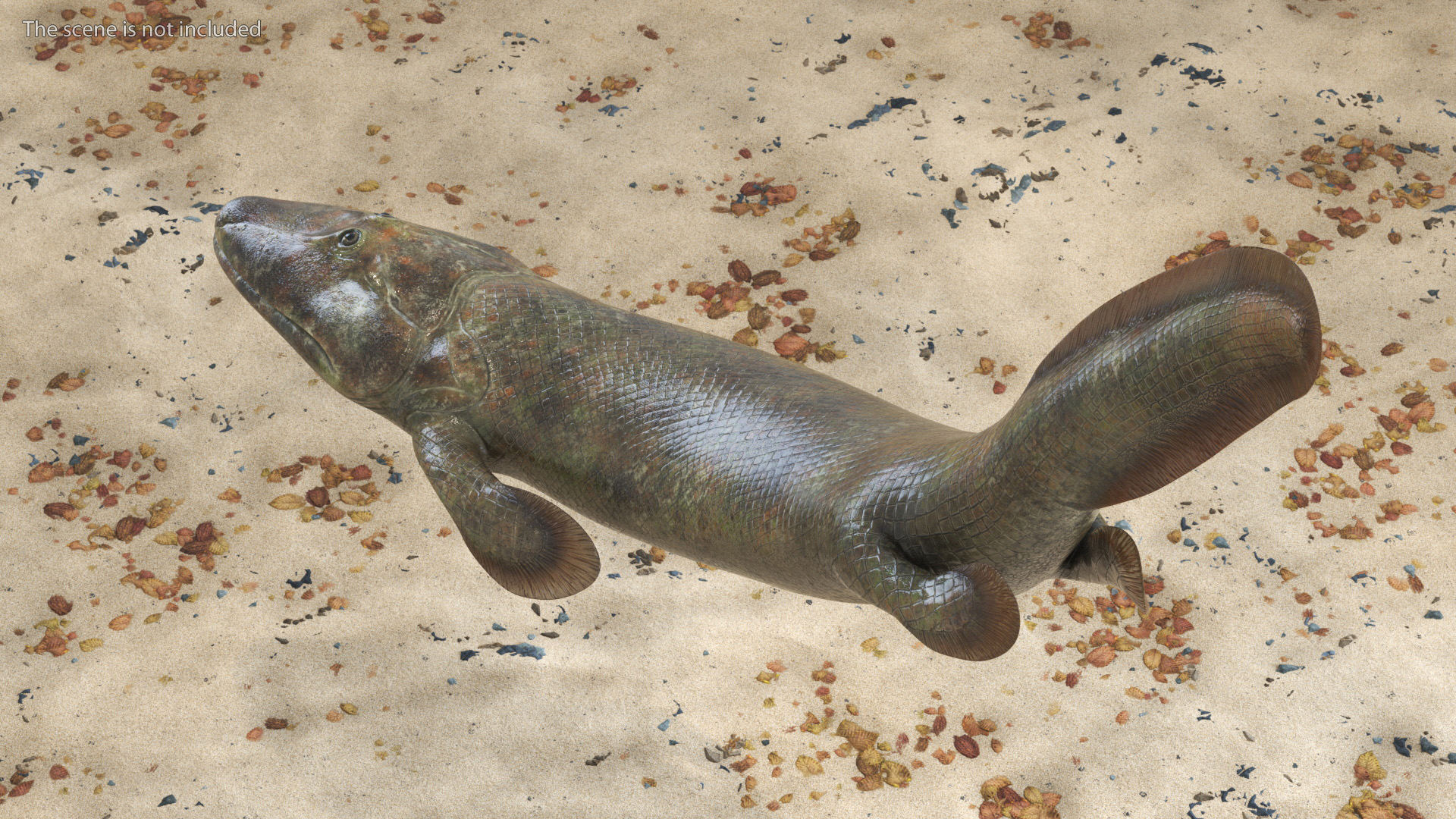 3D model Tiktaalik Rigged for Cinema 4D