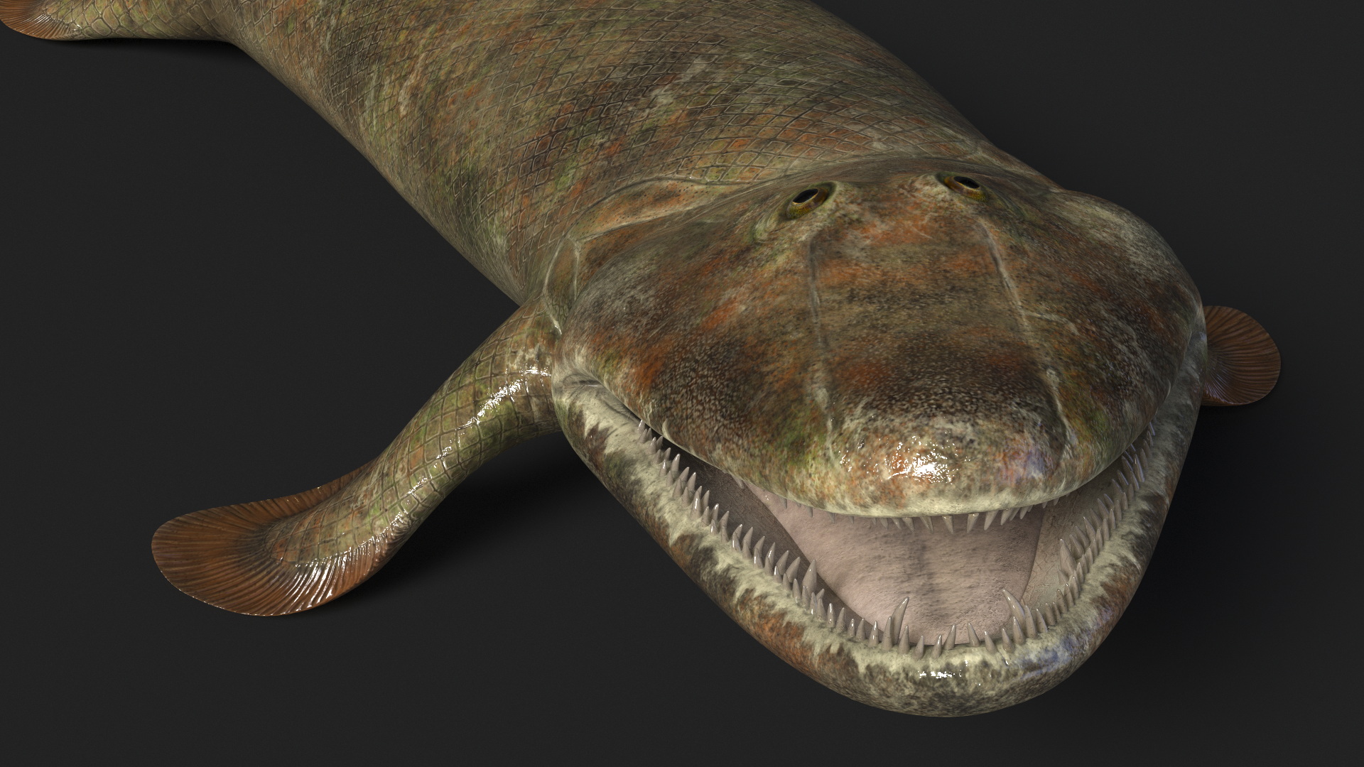 3D model Tiktaalik Rigged for Cinema 4D