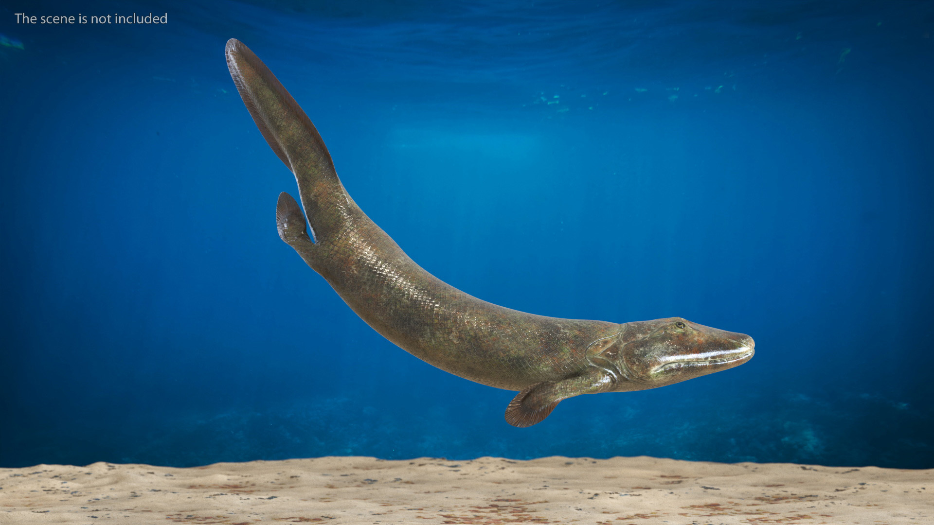 3D model Tiktaalik Rigged for Cinema 4D