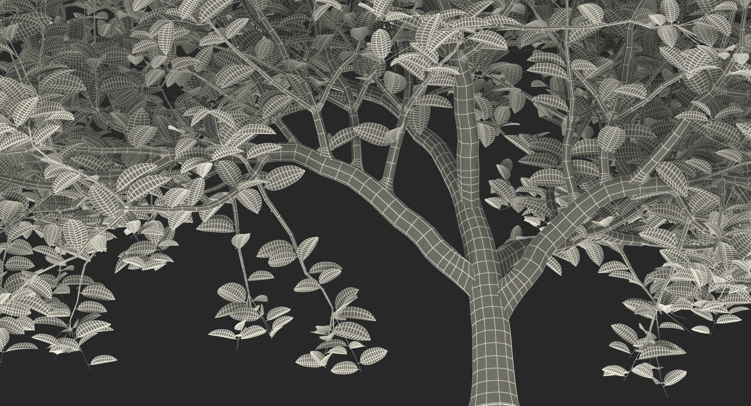 3D model Small Evergreen Tree