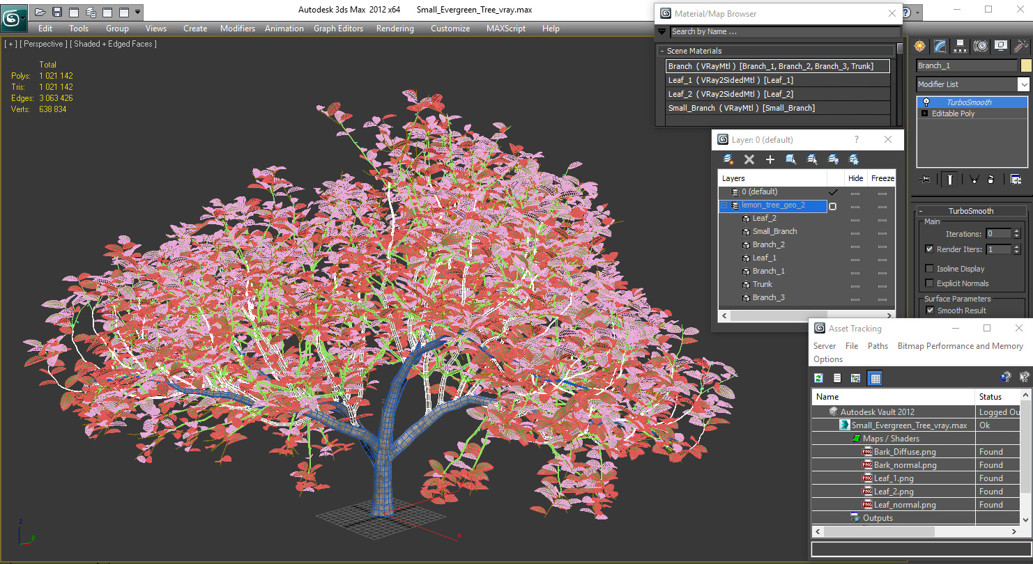 3D model Small Evergreen Tree