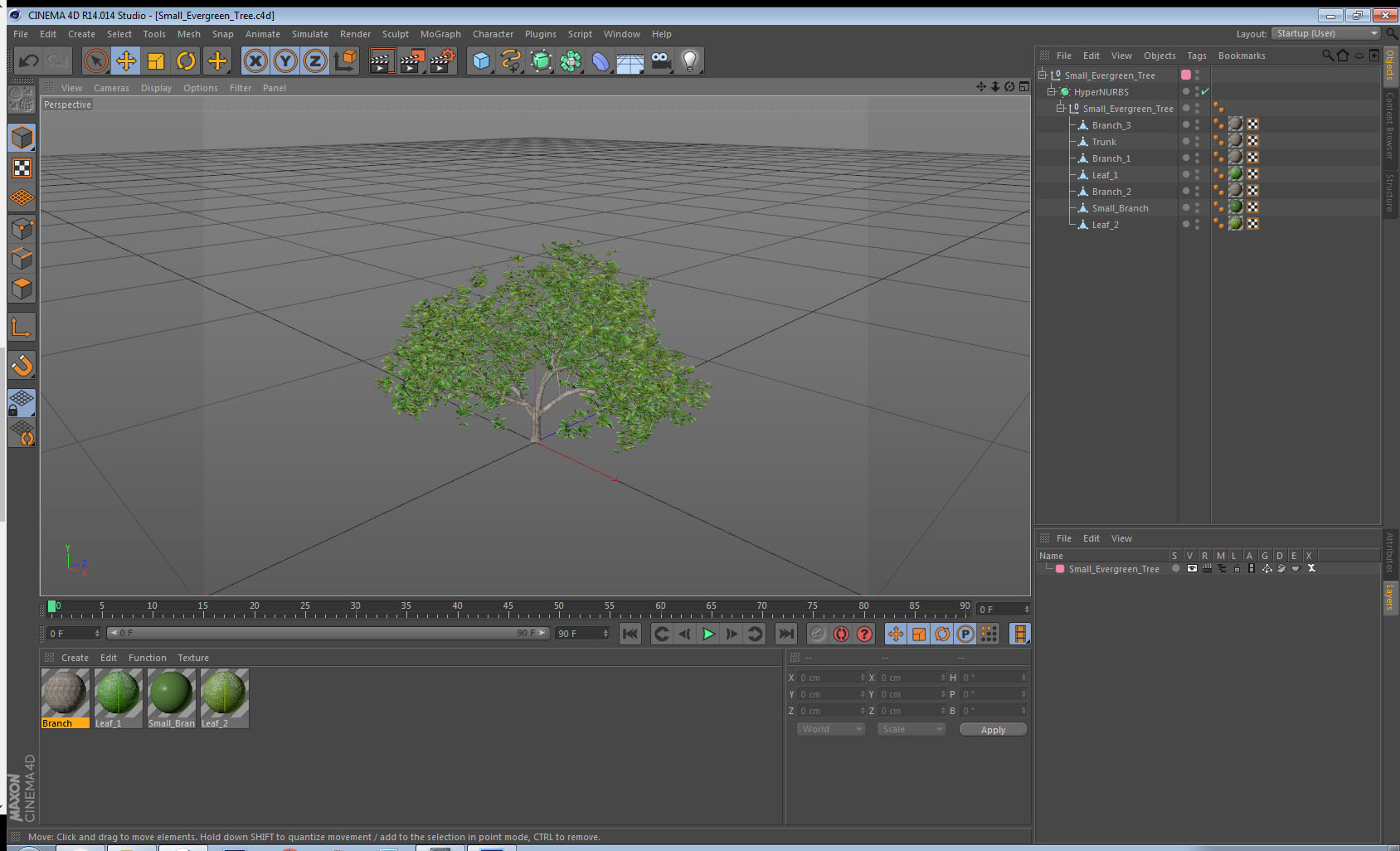 3D model Small Evergreen Tree