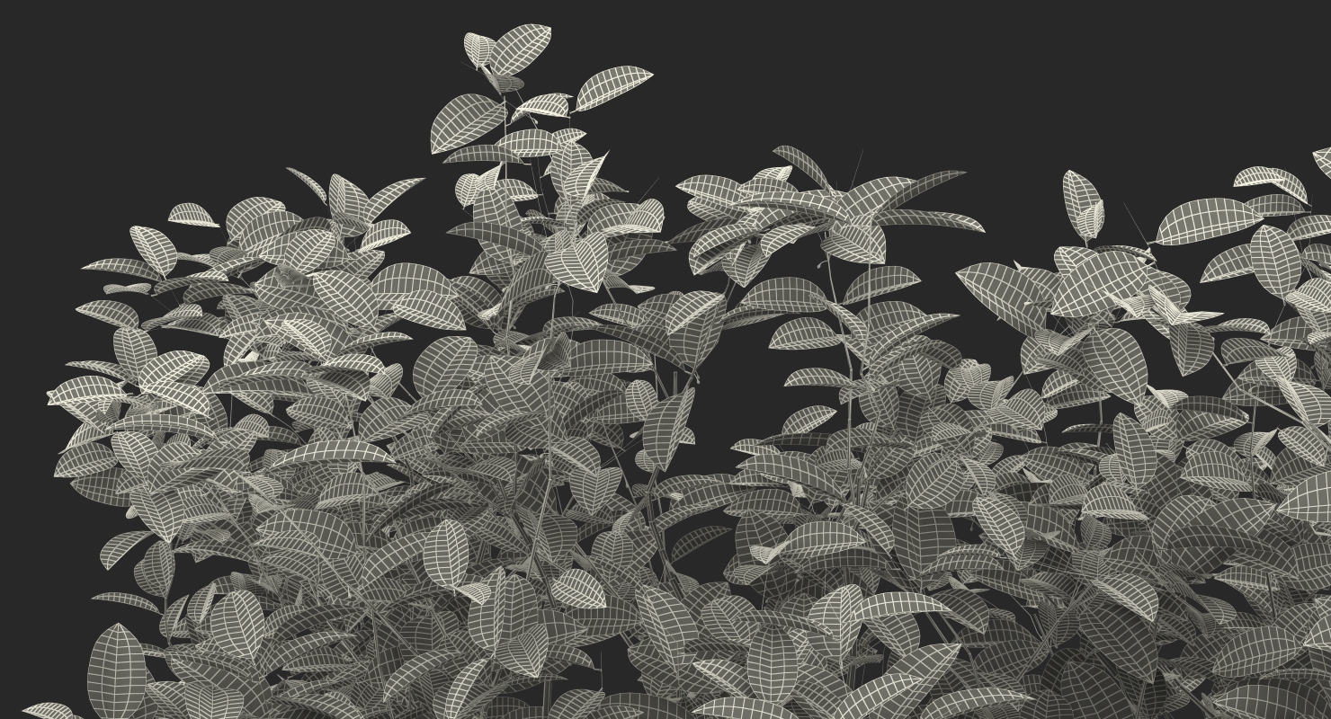 3D model Small Evergreen Tree