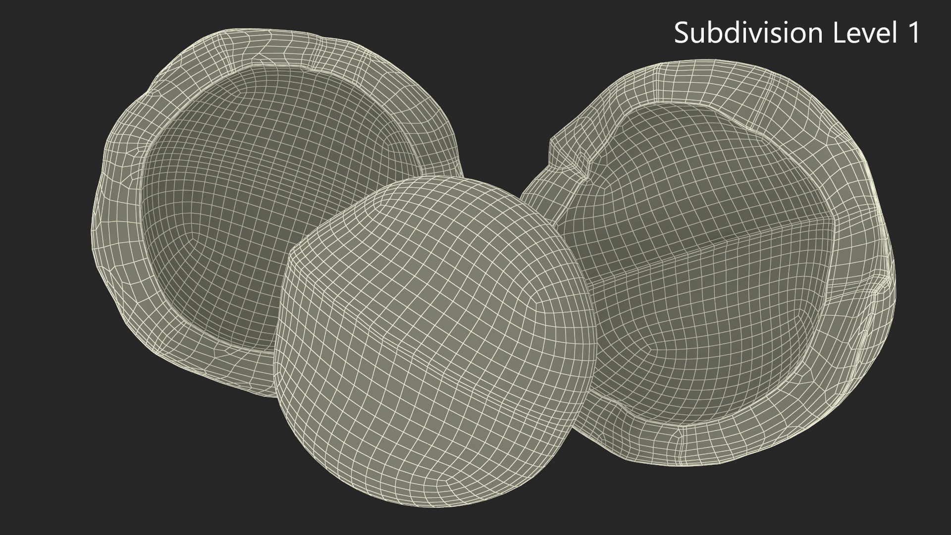 Split Macadamia Nut 3D model