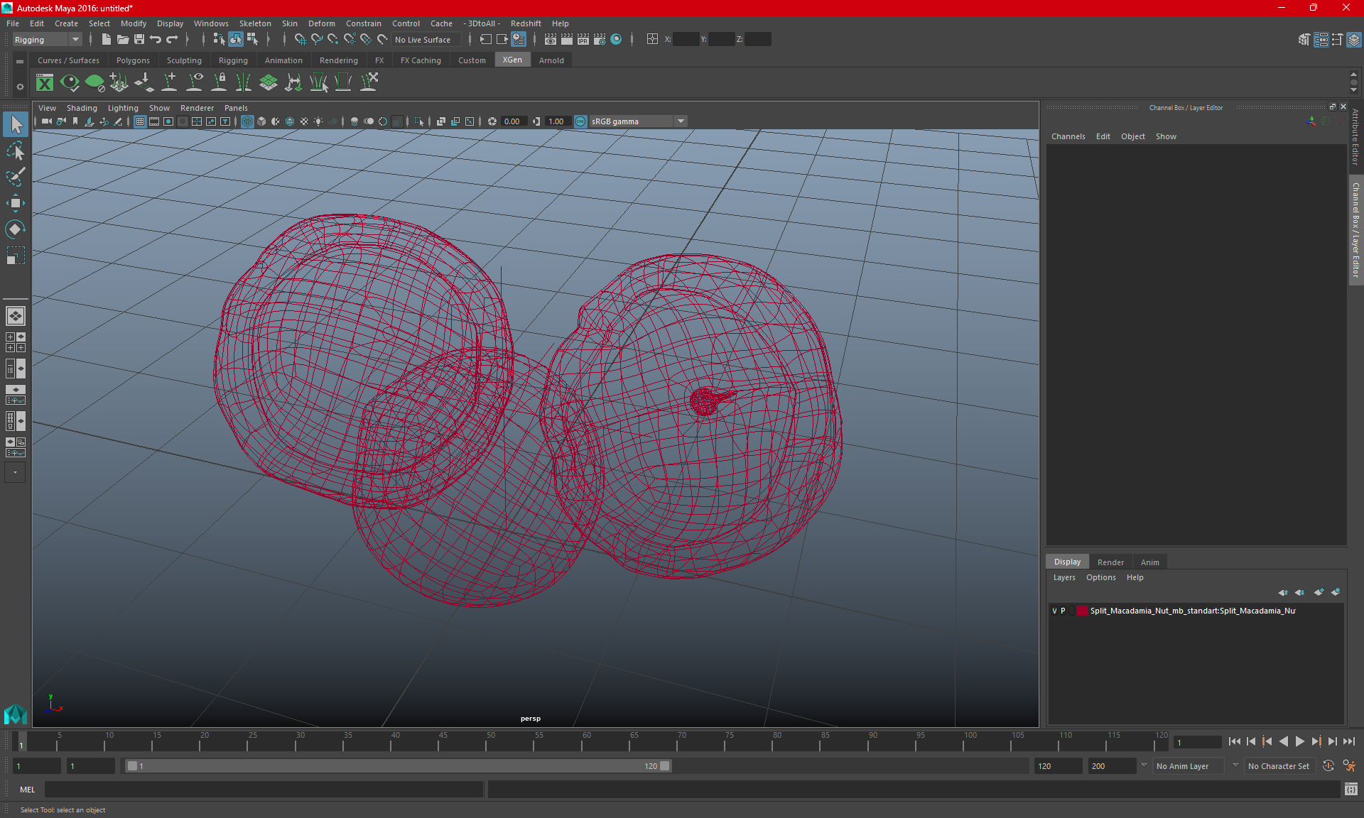 Split Macadamia Nut 3D model