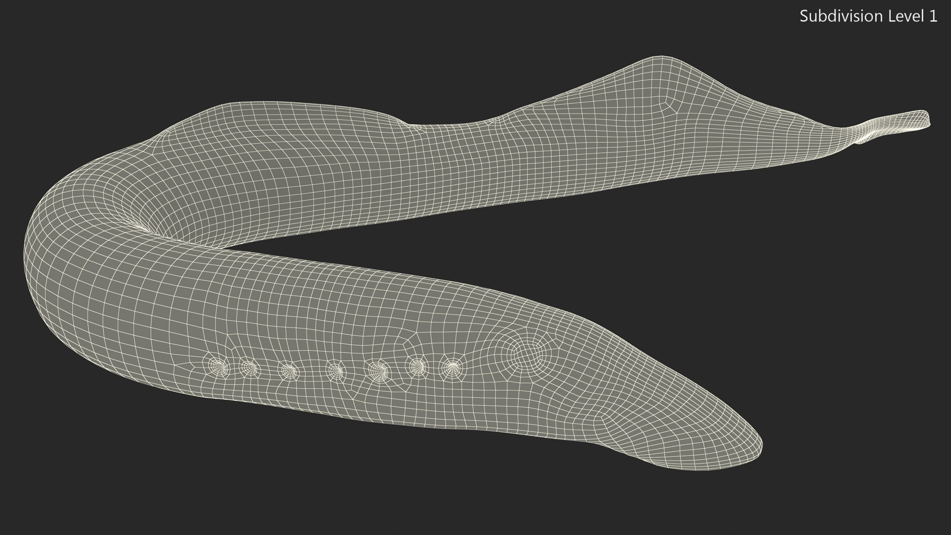 Lamprey Bent Pose 3D