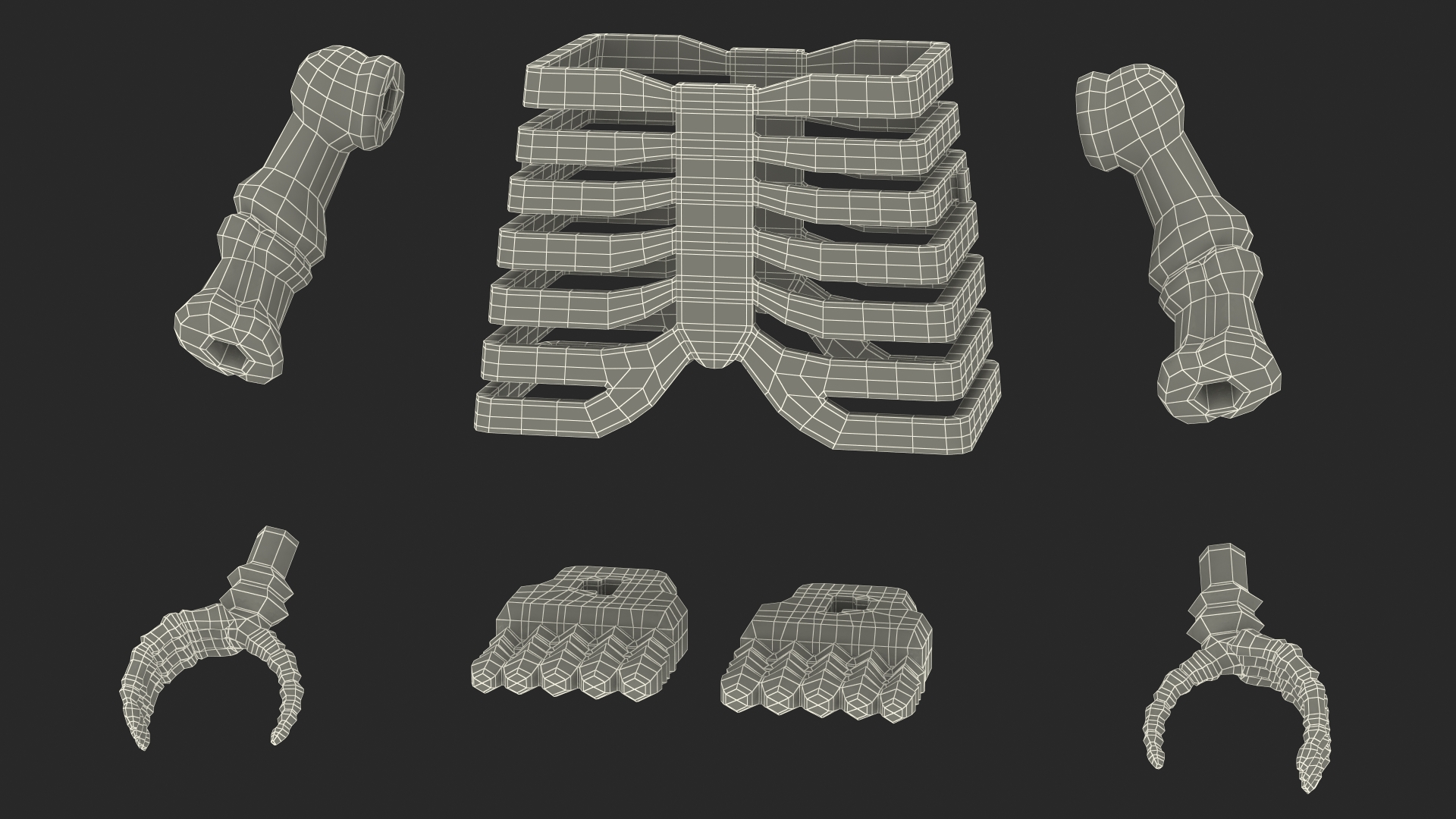 3D model Anatomical LEGO Man Glass