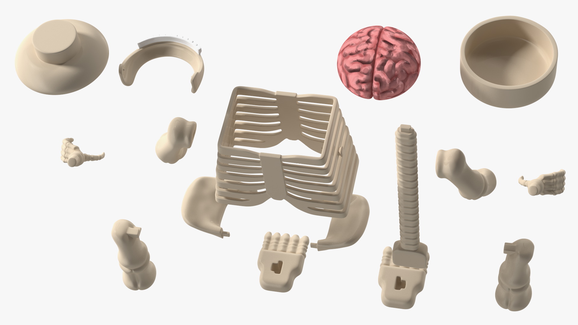 3D model Anatomical LEGO Man Glass