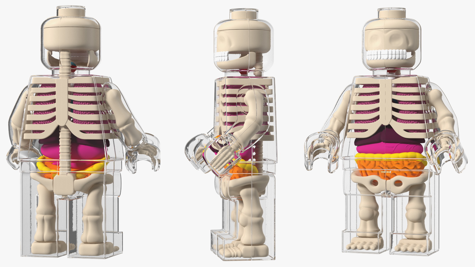 3D model Anatomical LEGO Man Glass