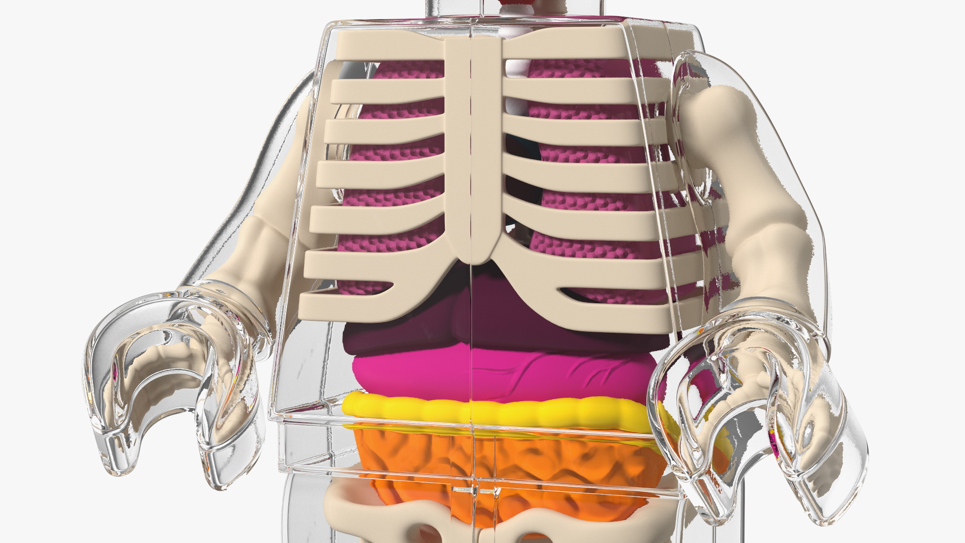 3D model Anatomical LEGO Man Glass