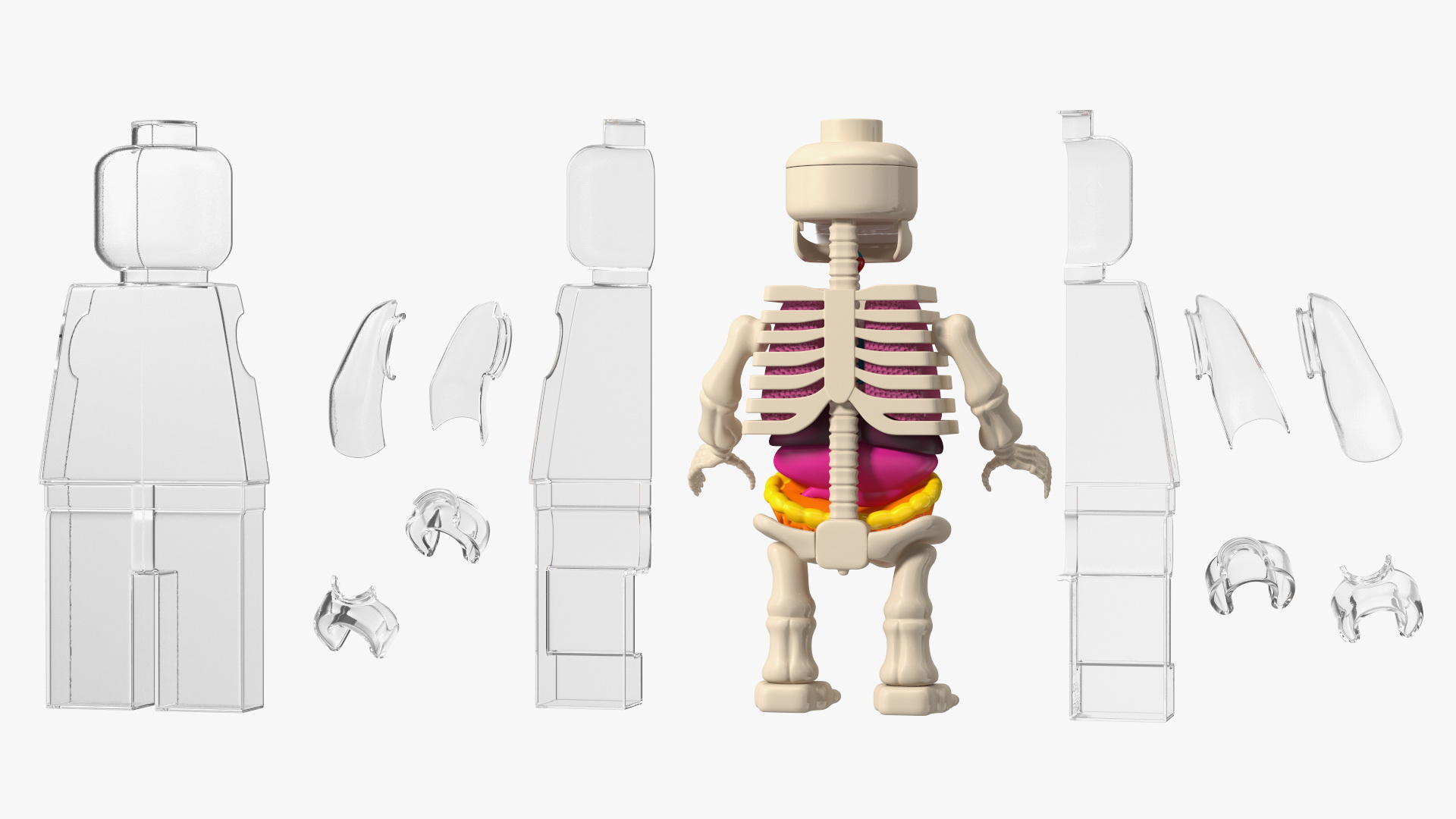 3D model Anatomical LEGO Man Glass