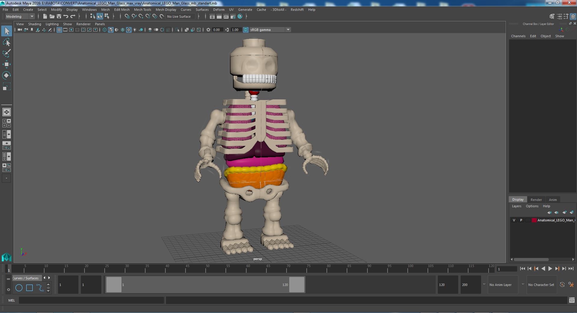 3D model Anatomical LEGO Man Glass