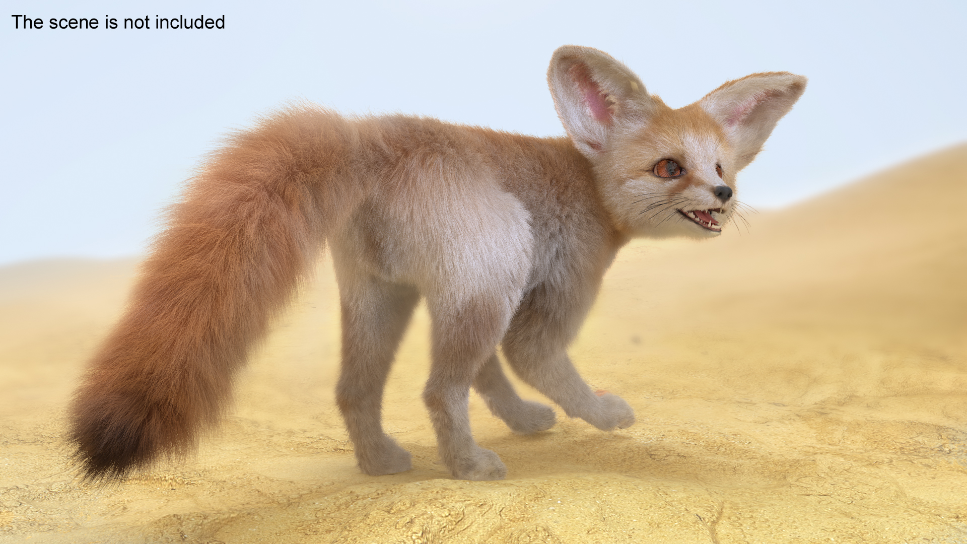 3D Desert Fox Fennec Fur Rigged model
