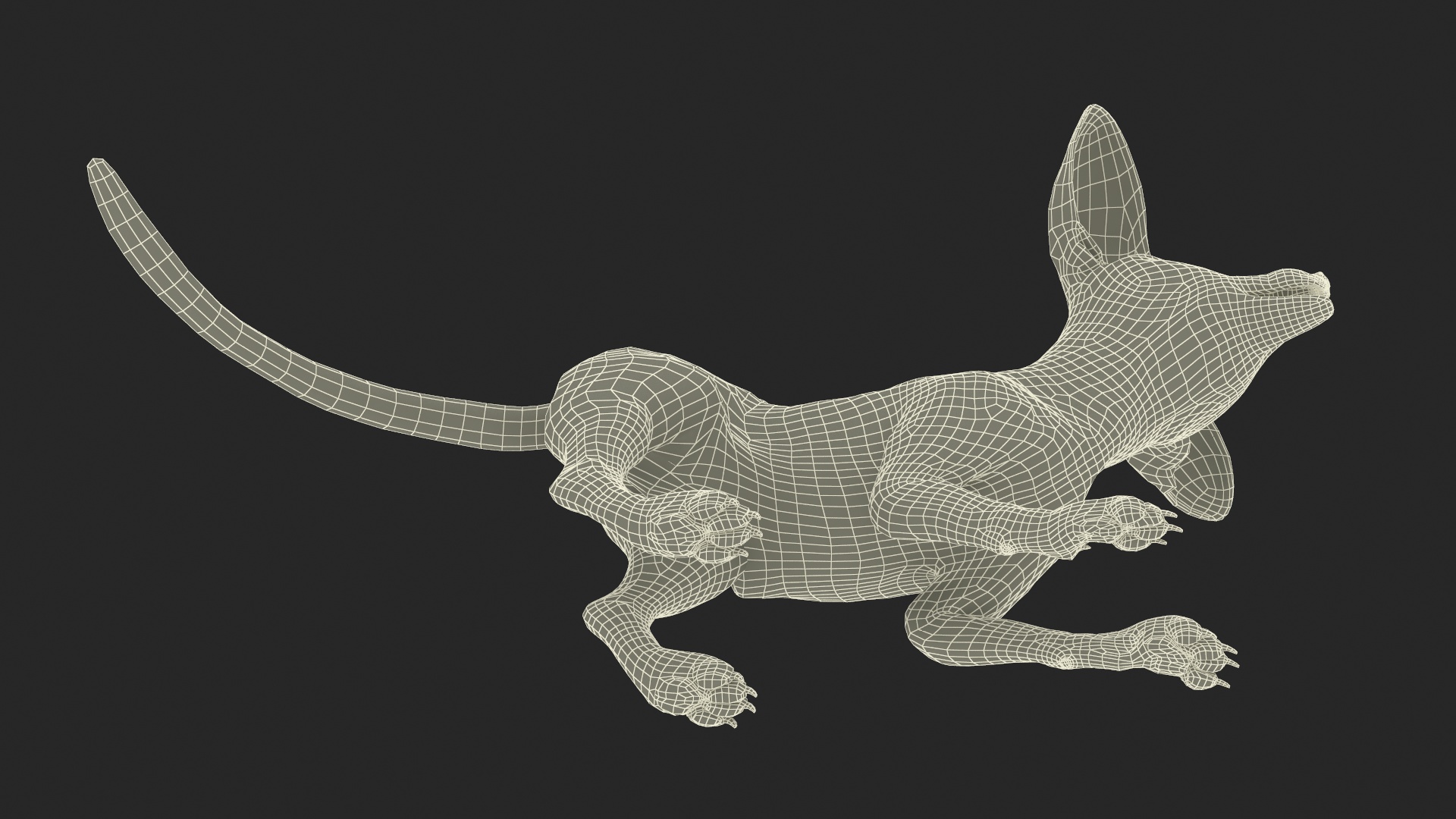 3D Desert Fox Fennec Fur Rigged model