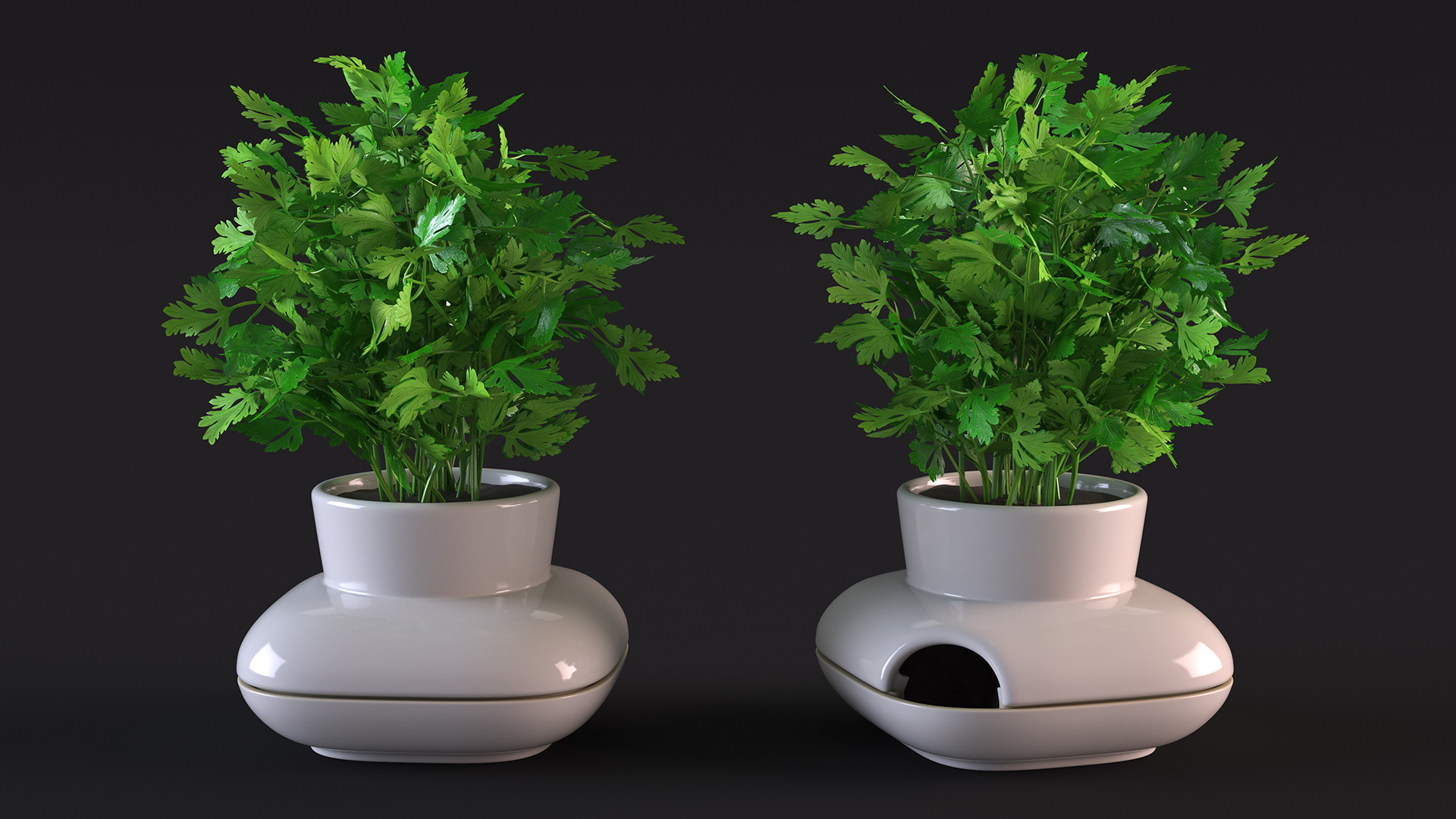 3D Parsley in Sagaform Single Herb Pot White