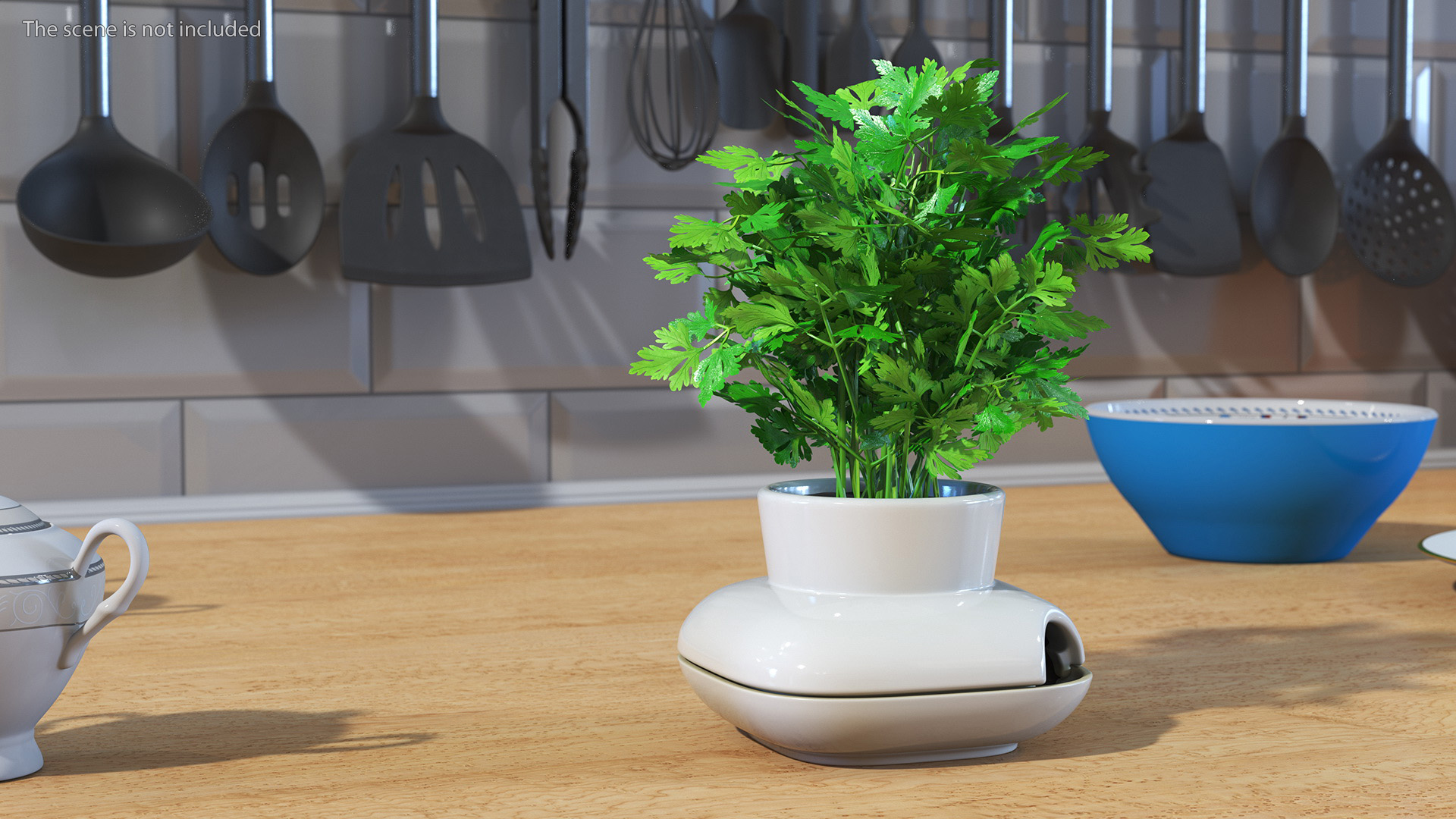 3D Parsley in Sagaform Single Herb Pot White