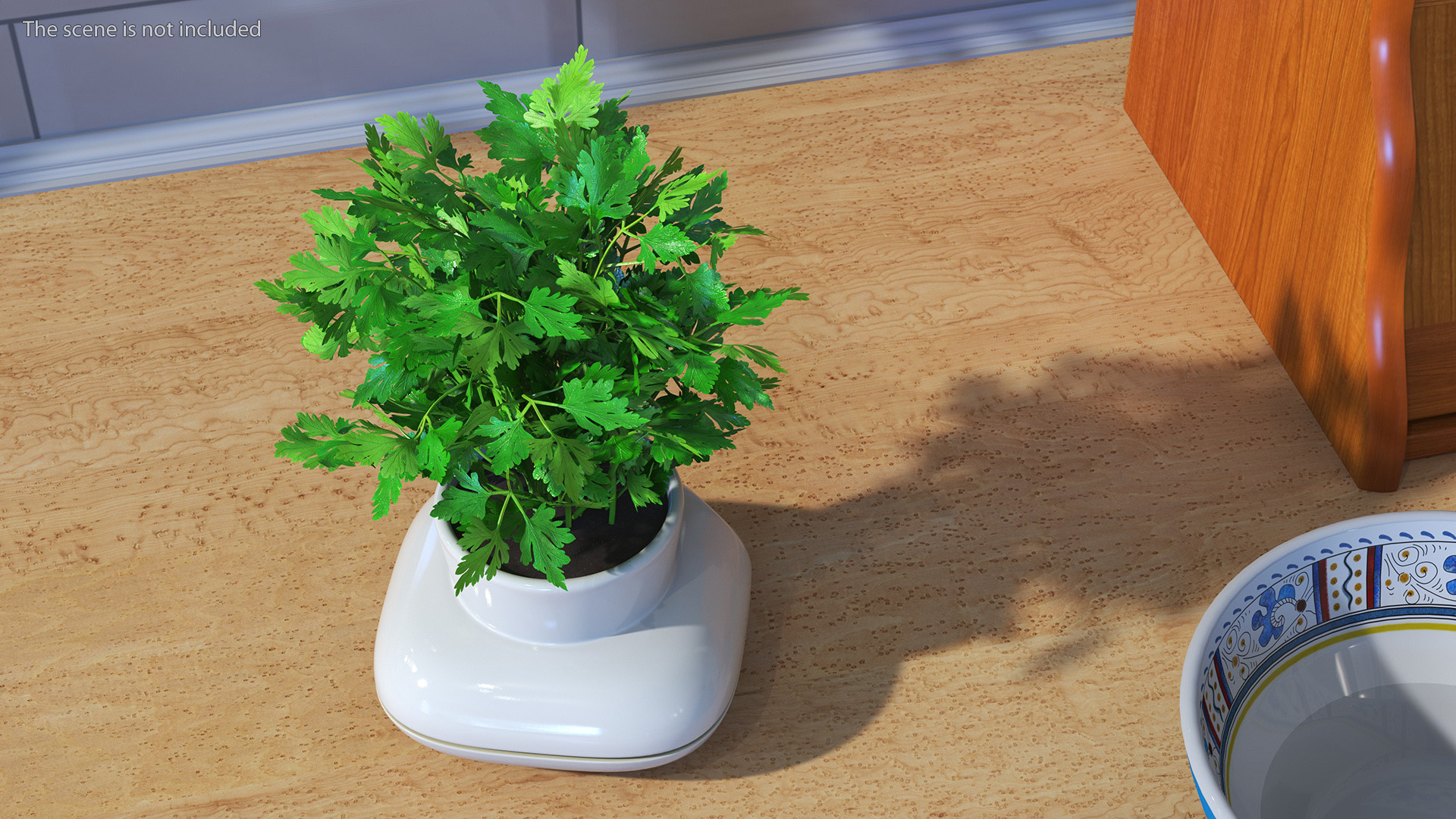 3D Parsley in Sagaform Single Herb Pot White