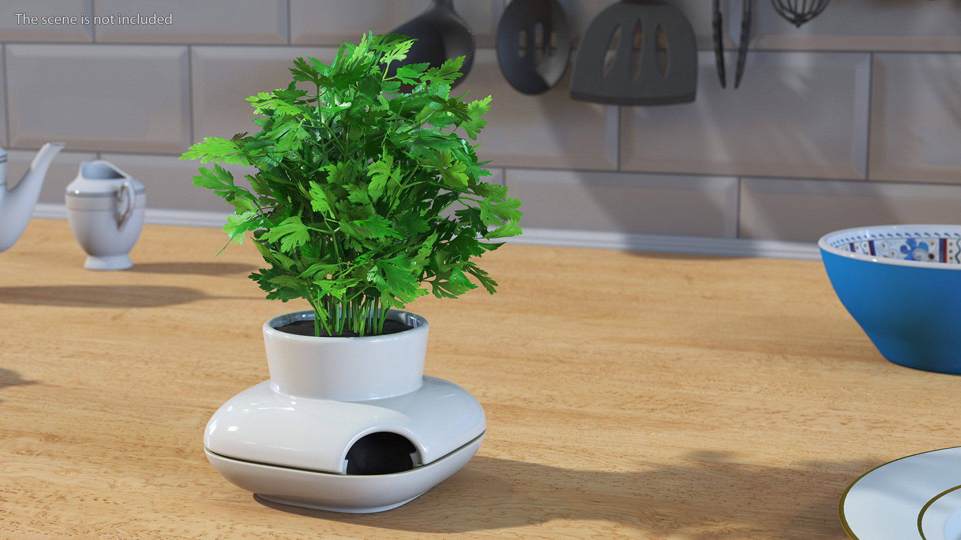3D Parsley in Sagaform Single Herb Pot White