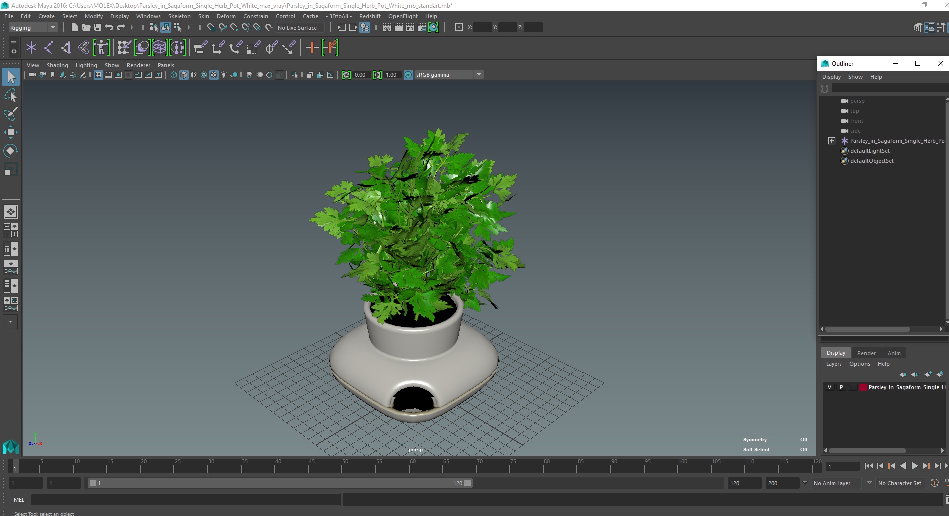 3D Parsley in Sagaform Single Herb Pot White