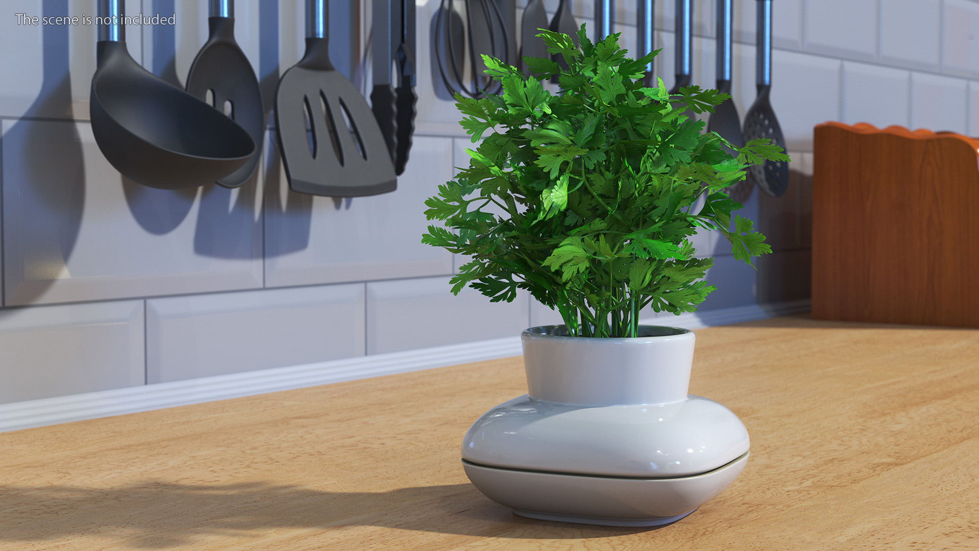 3D Parsley in Sagaform Single Herb Pot White