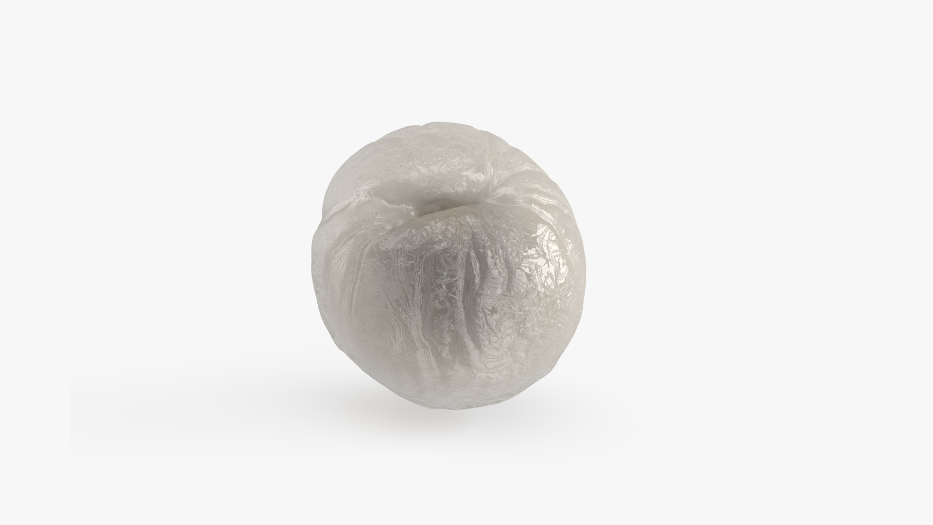 3D Peeled Longan model