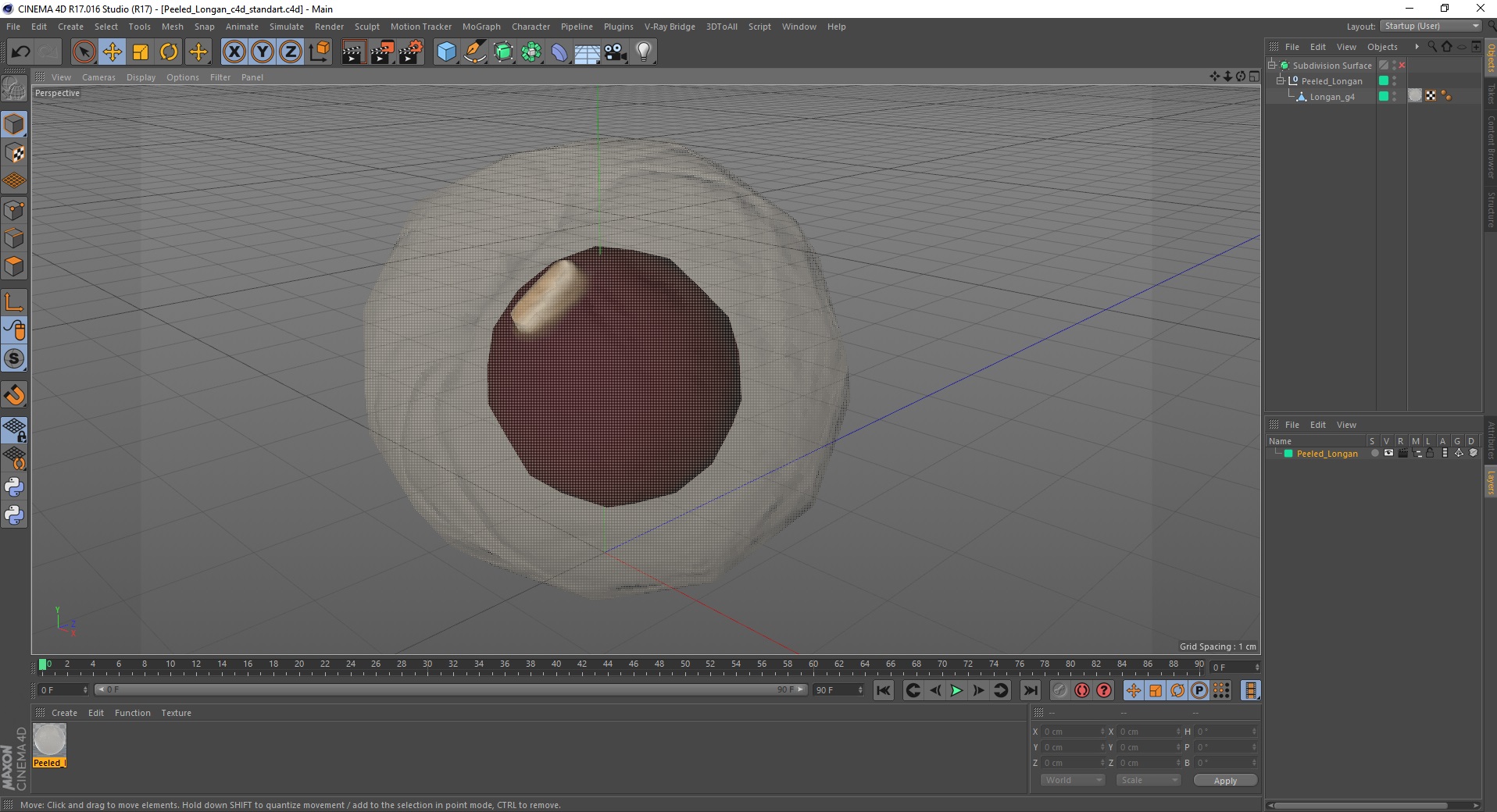 3D Peeled Longan model