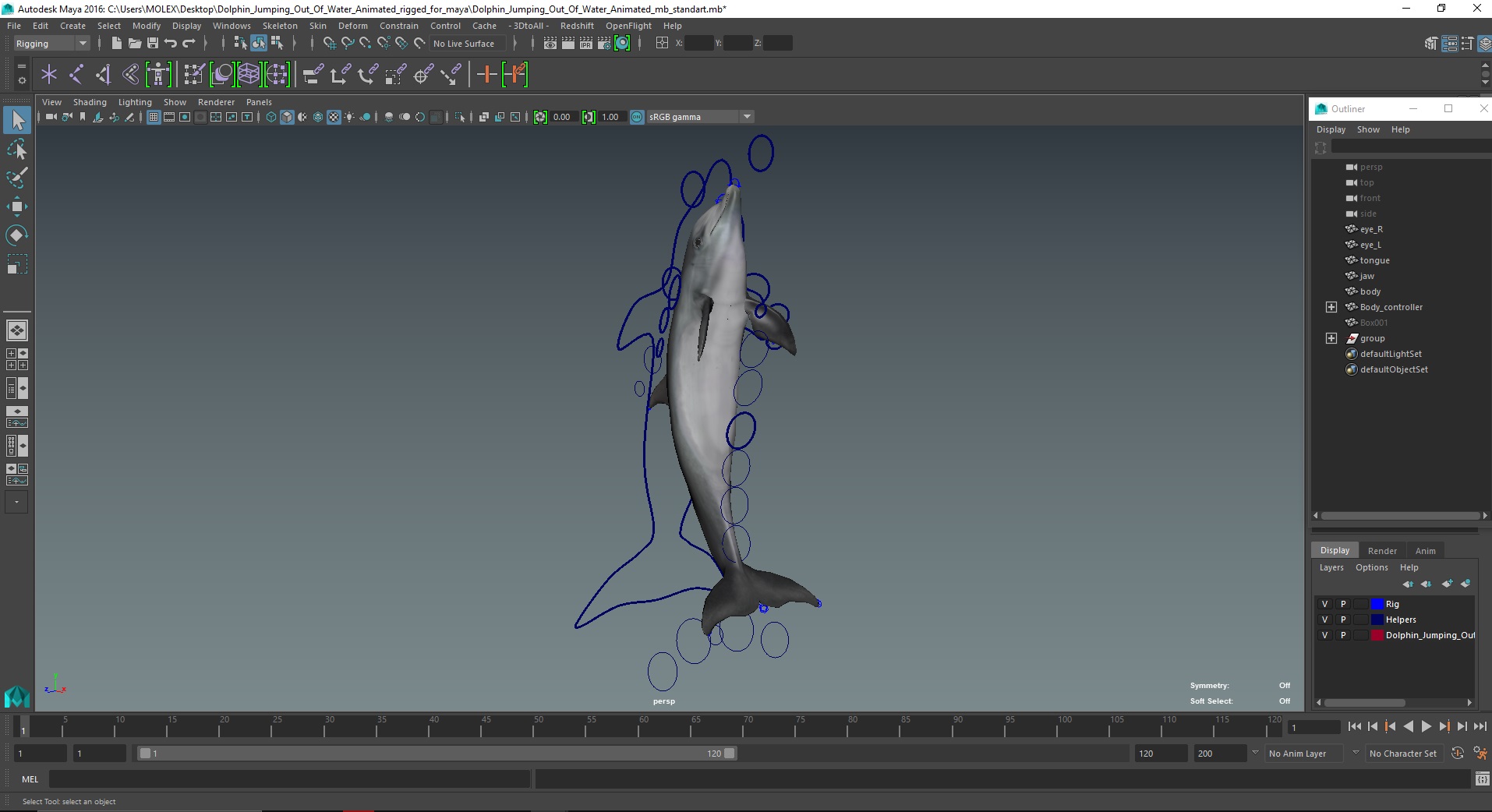 3D Dolphin Jumping Out Of Water Animated for Maya