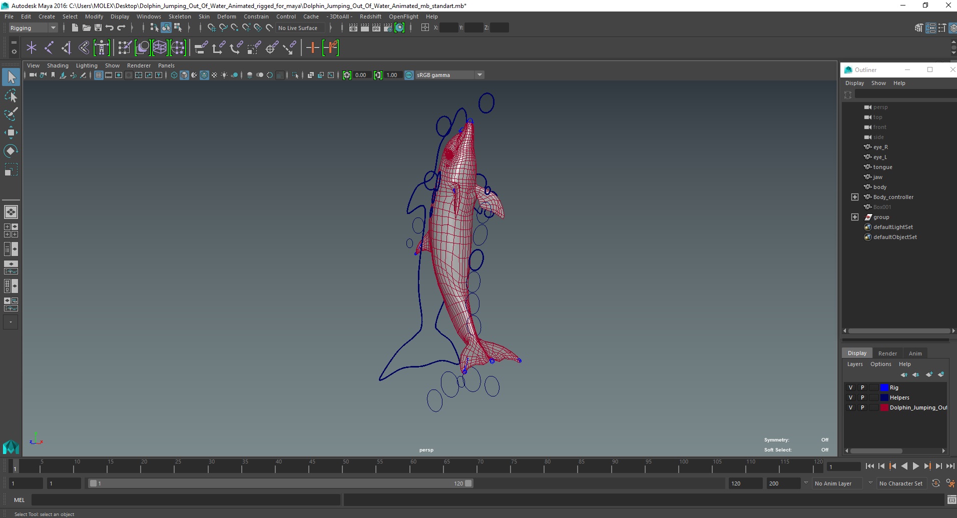 3D Dolphin Jumping Out Of Water Animated for Maya