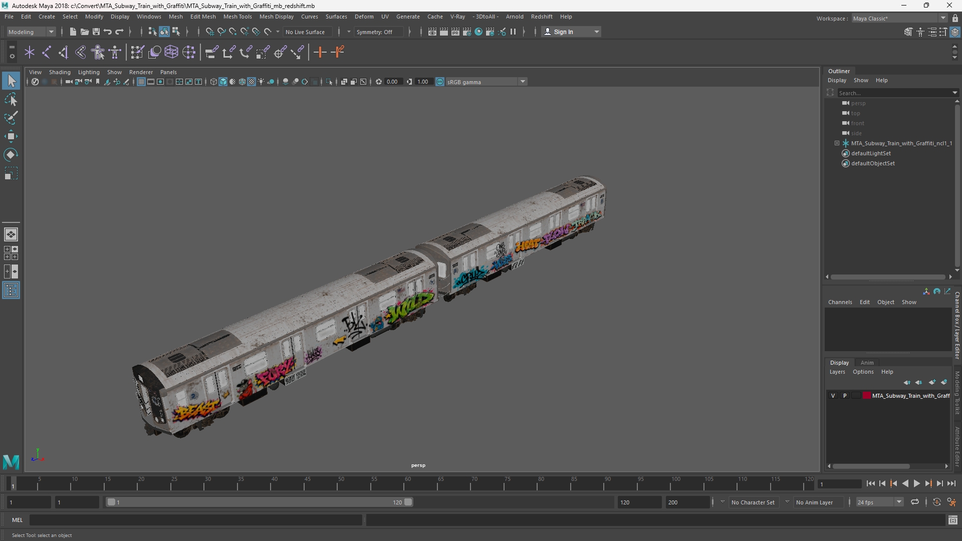 MTA Subway Train with Graffiti - view 11
