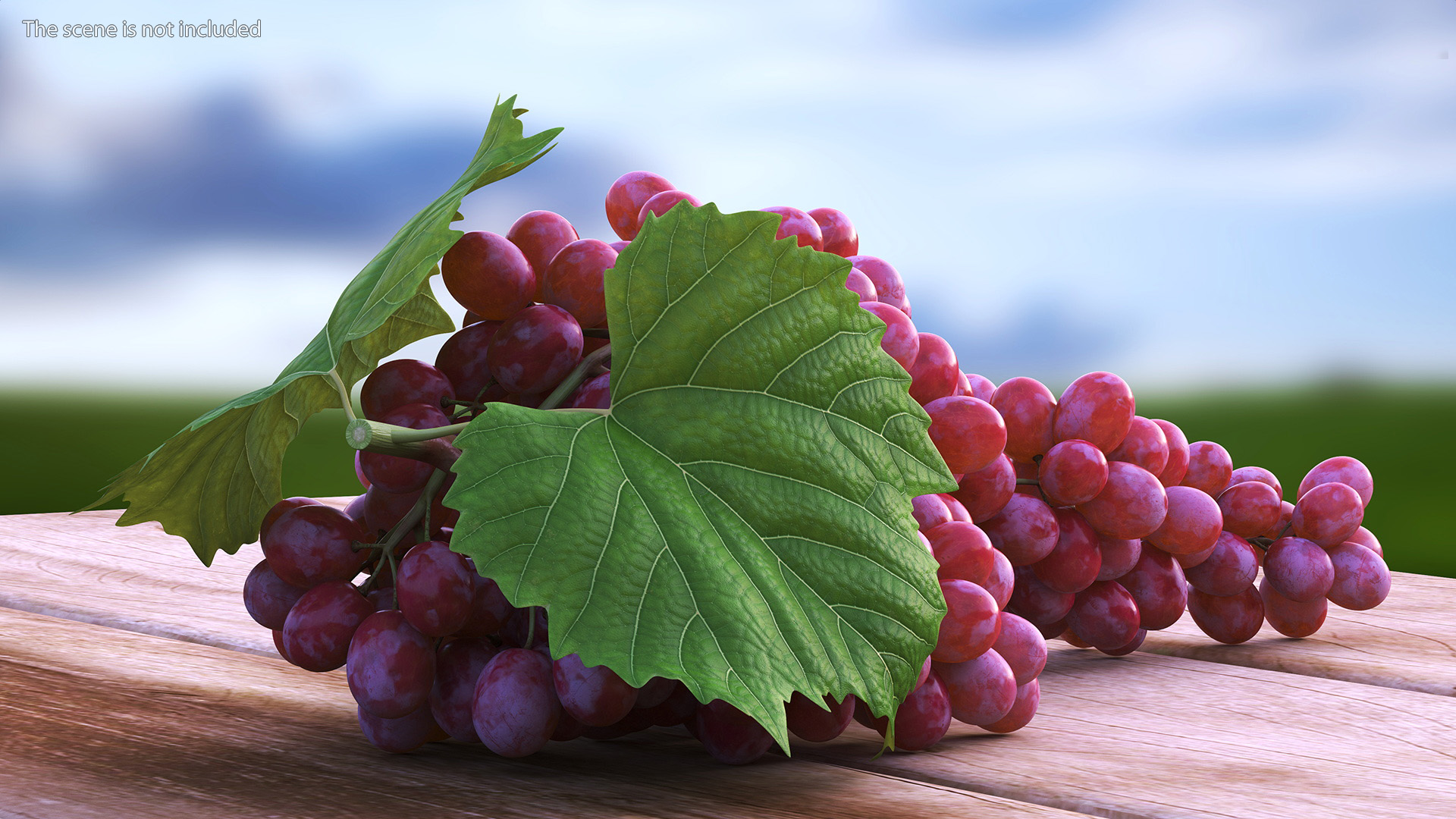 3D Sultana Red Grape Cluster Lying