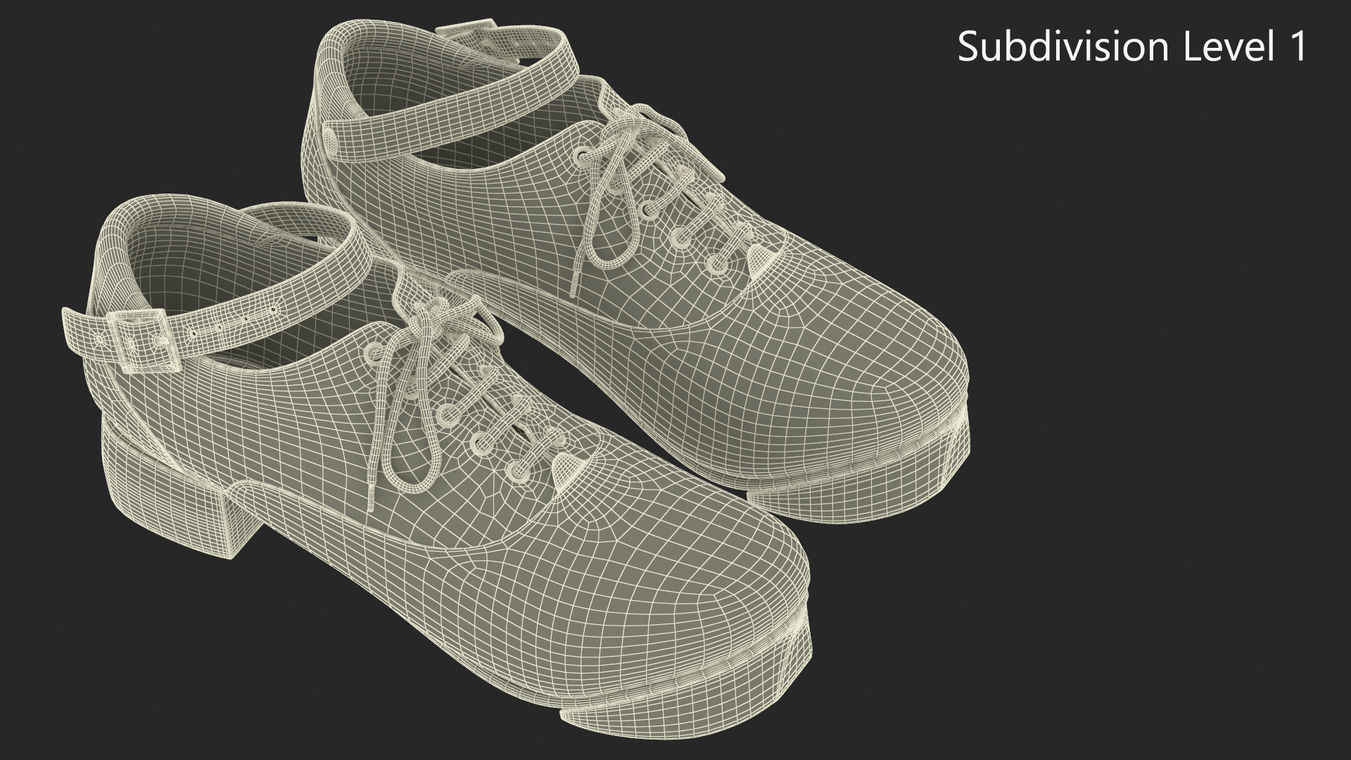 3D Irish Dance Jig Shoes
