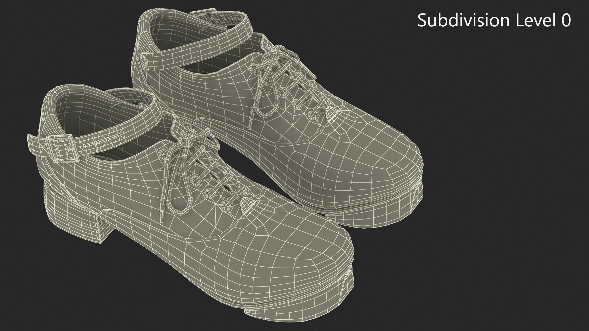 3D Irish Dance Jig Shoes