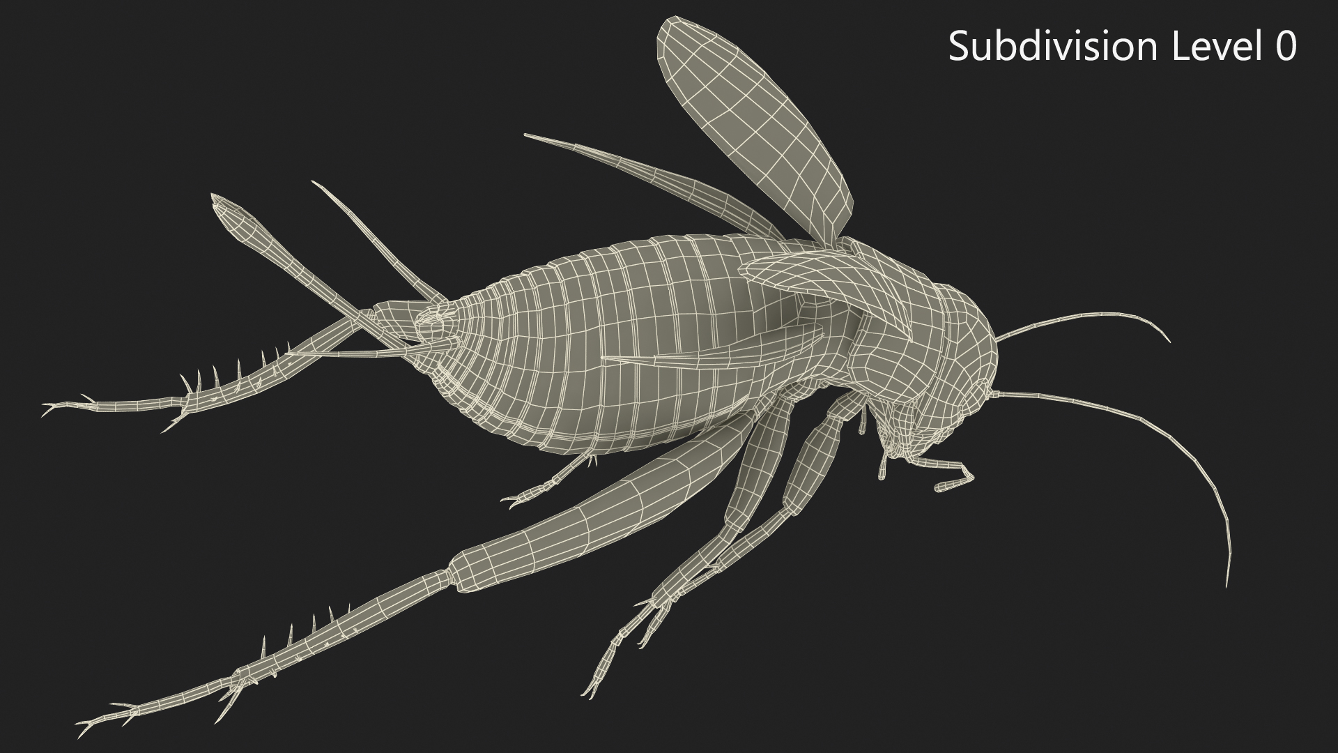 3D Field Cricket Jumping
