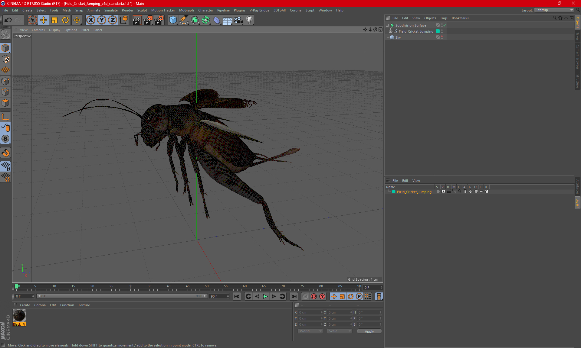 3D Field Cricket Jumping