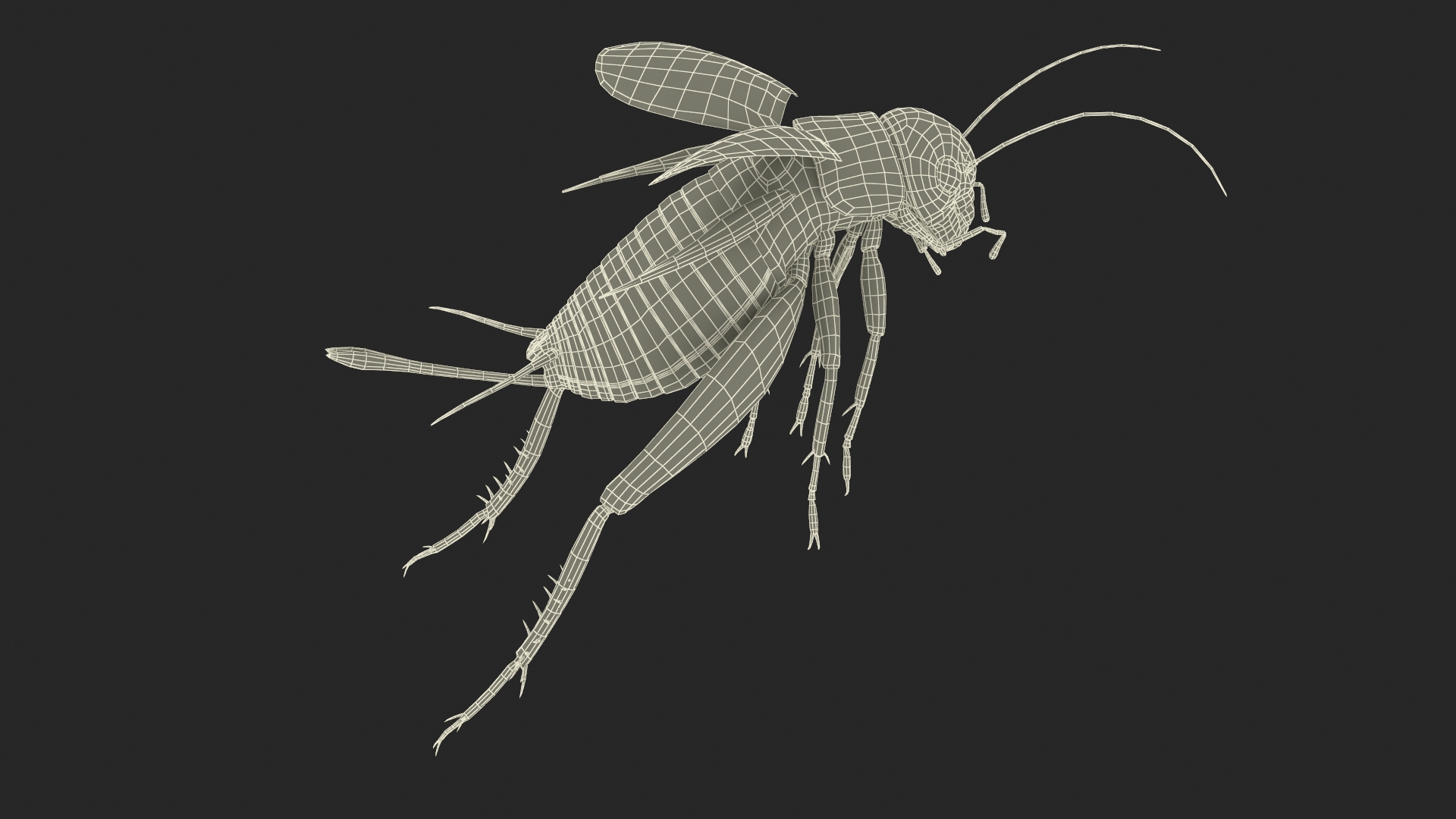 3D Field Cricket Jumping