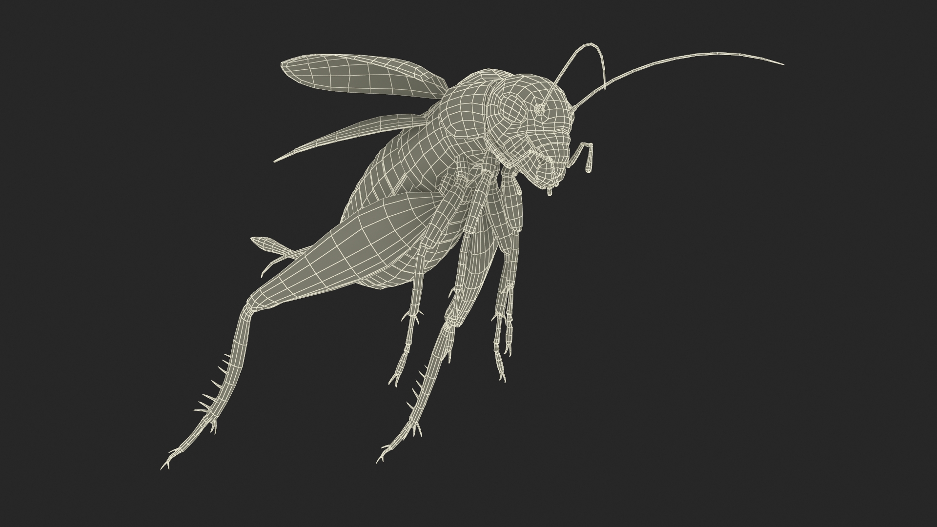 3D Field Cricket Jumping