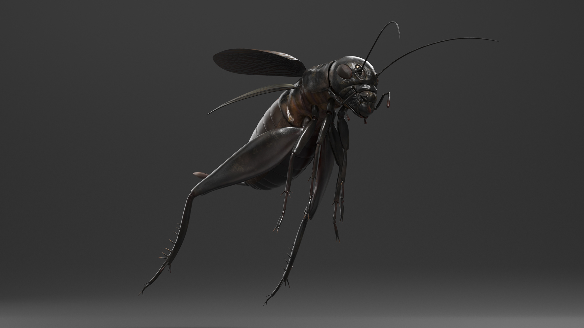 3D Field Cricket Jumping