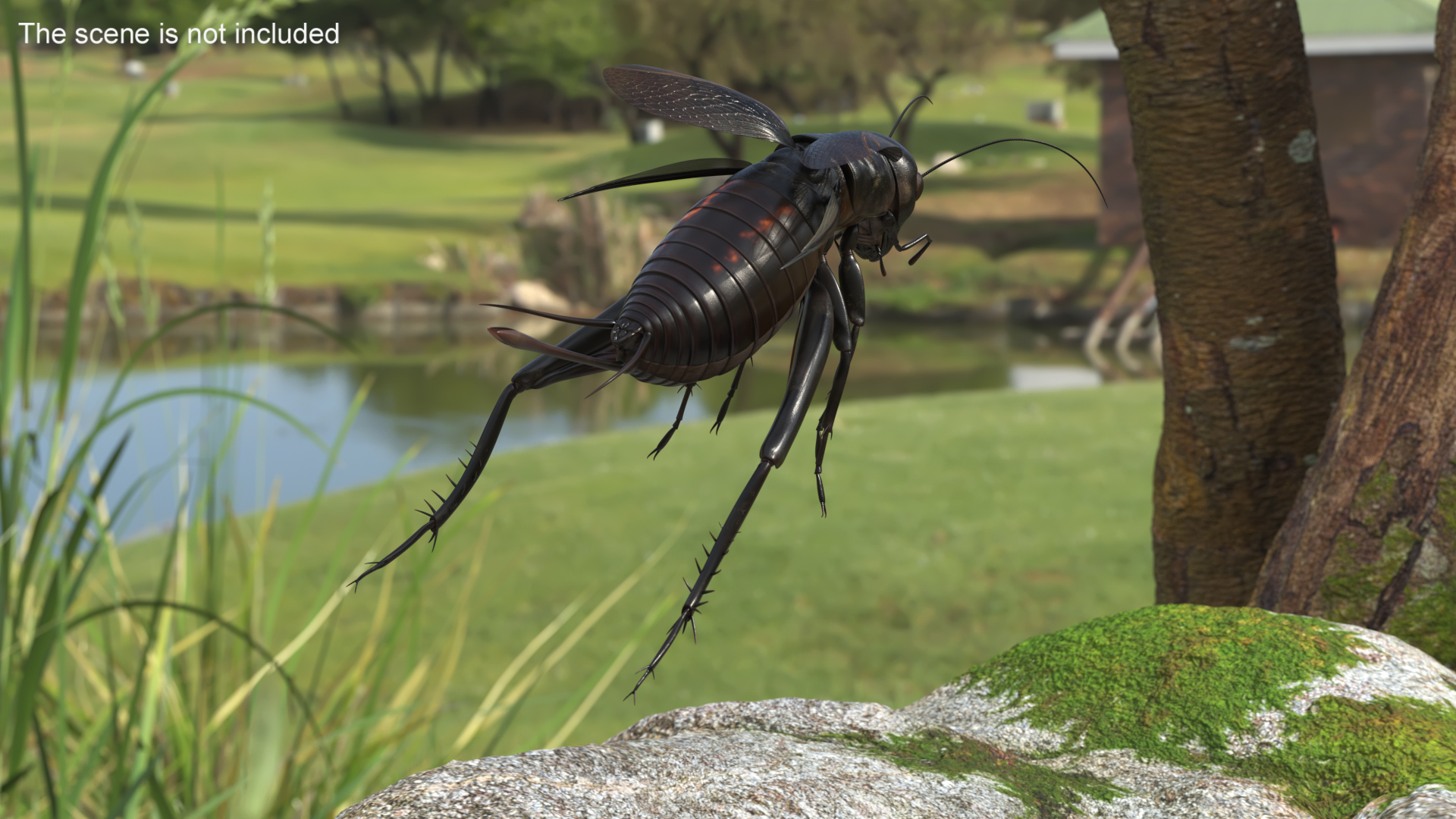 3D Field Cricket Jumping