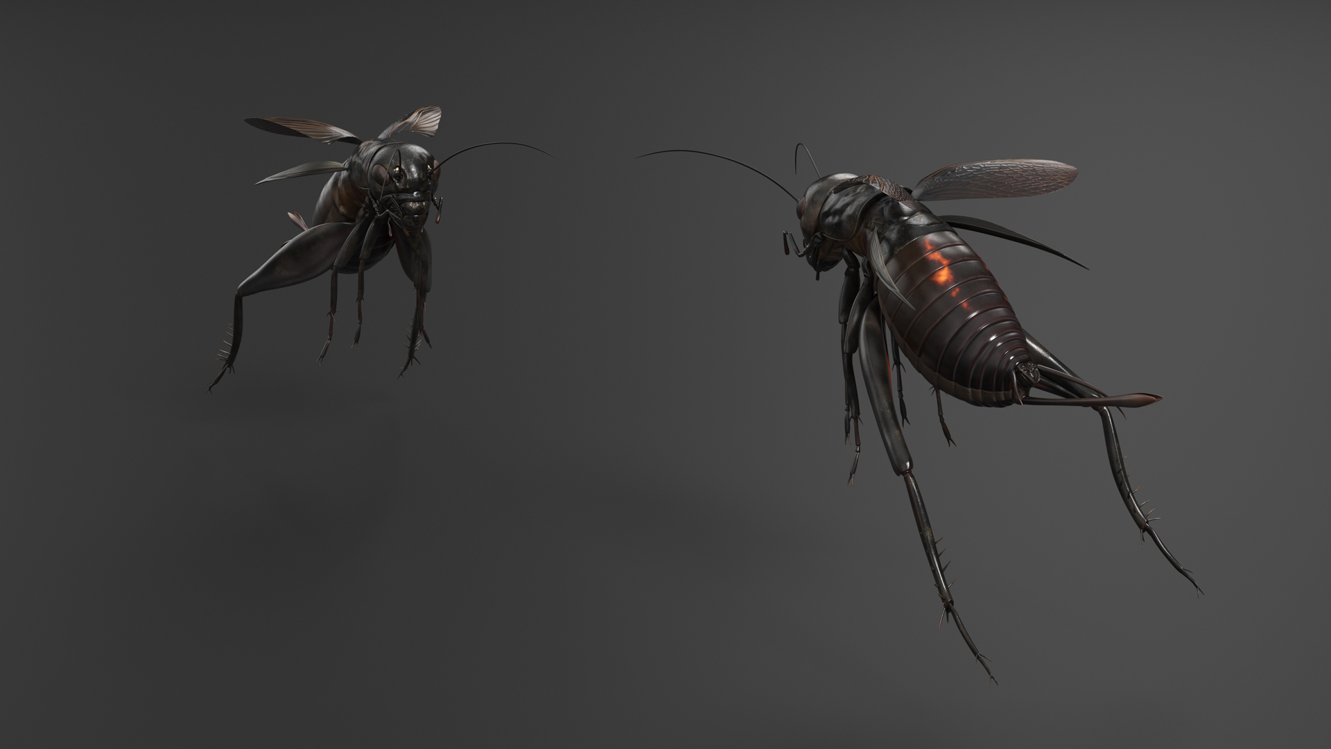 3D Field Cricket Jumping