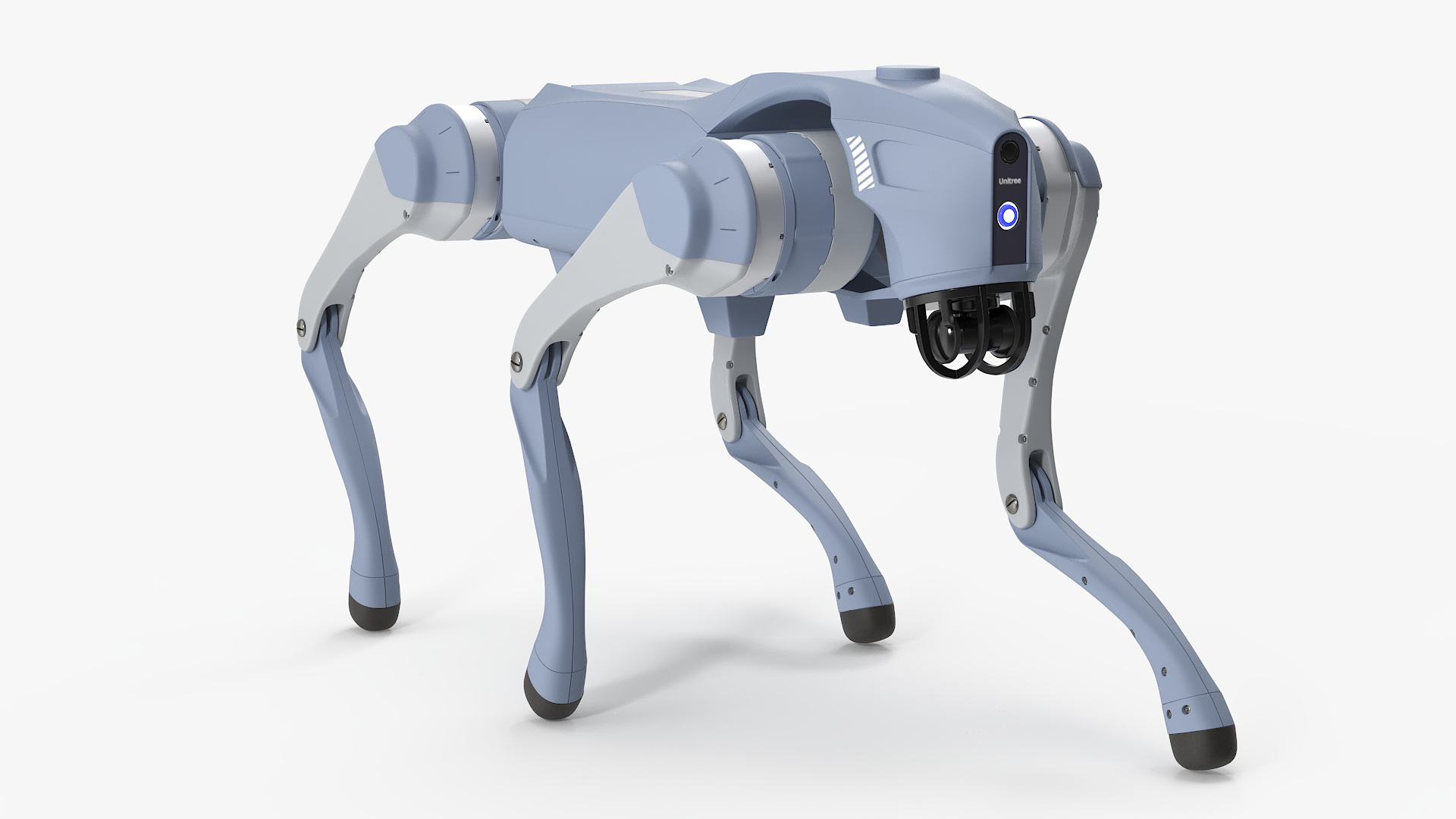 Unitree H1 Humanoid Robot and Robot Dog on Walk 3D