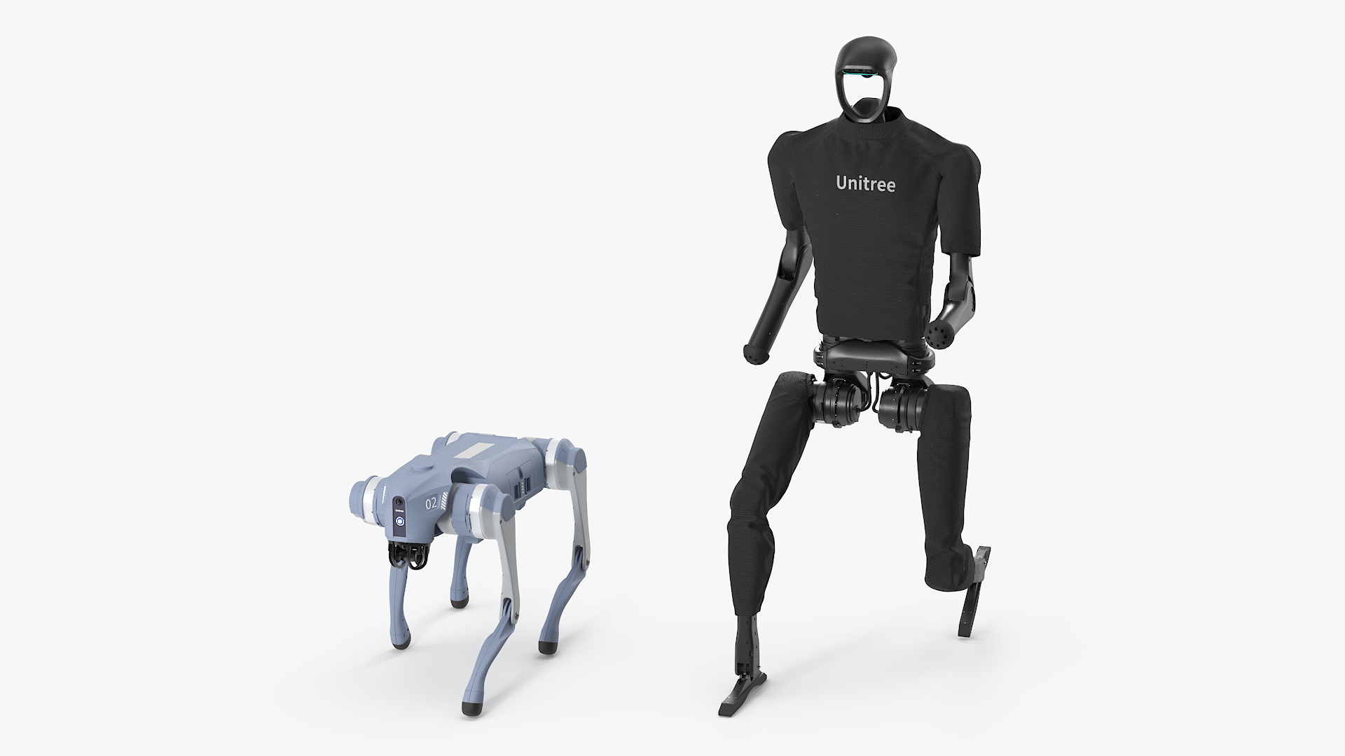Unitree H1 Humanoid Robot and Robot Dog on Walk 3D