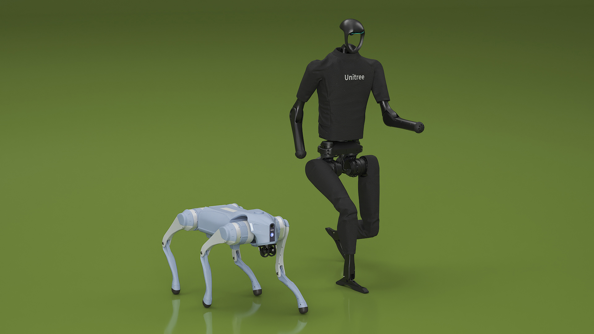 Unitree H1 Humanoid Robot and Robot Dog on Walk 3D