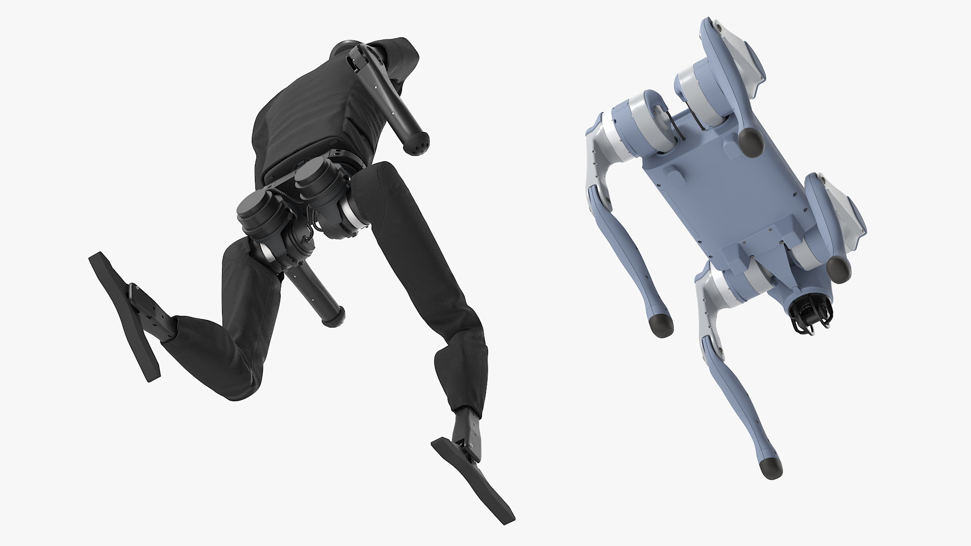 Unitree H1 Humanoid Robot and Robot Dog on Walk 3D