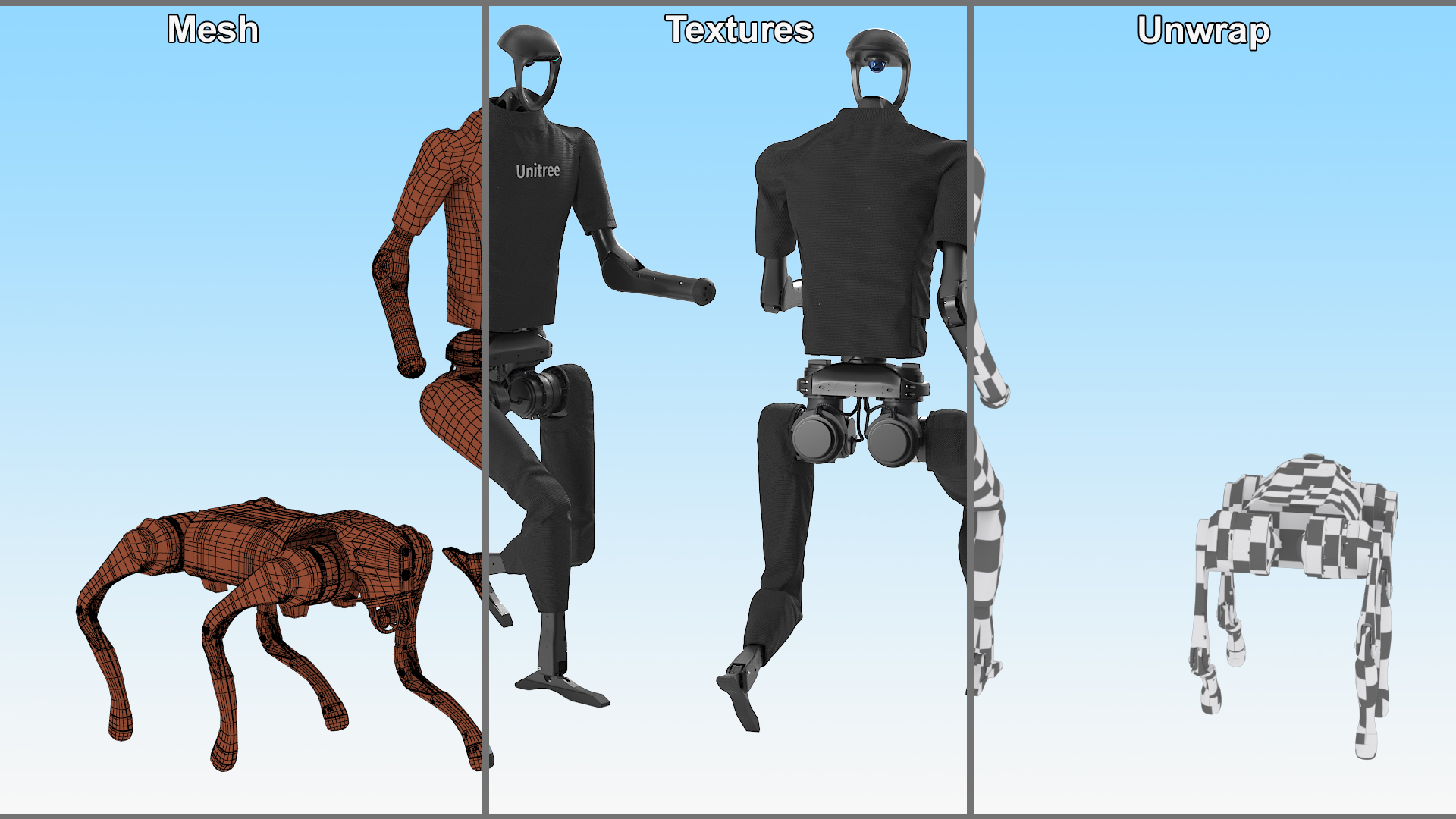 Unitree H1 Humanoid Robot and Robot Dog on Walk 3D