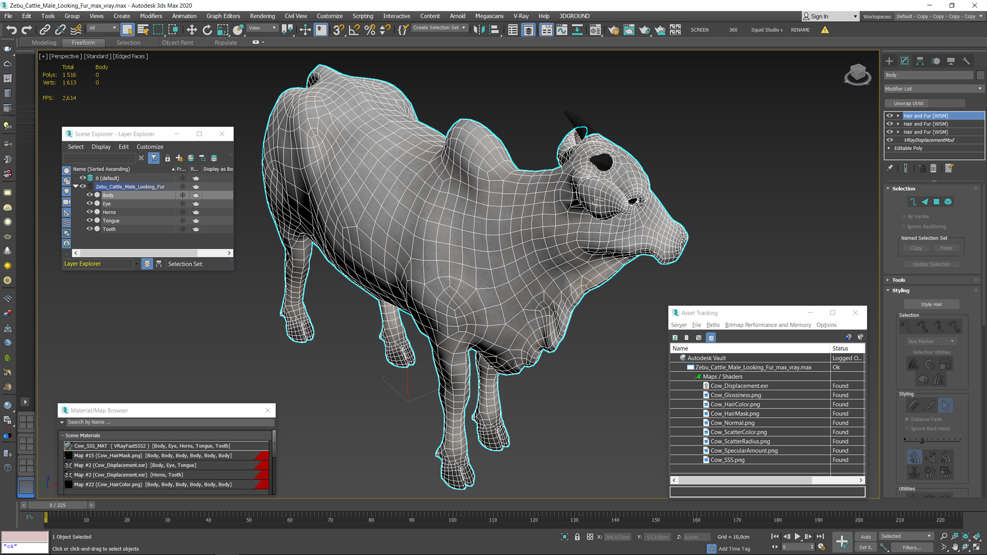 3D Zebu Cattle Male Looking Fur model
