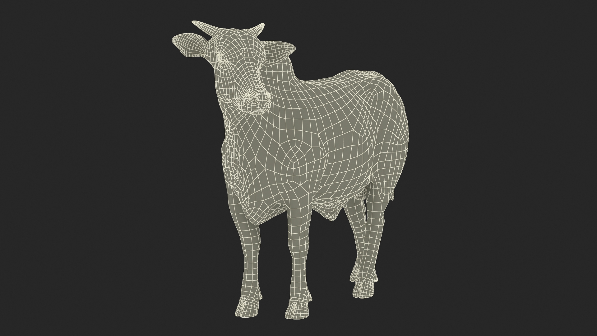 3D Zebu Cattle Male Looking Fur model