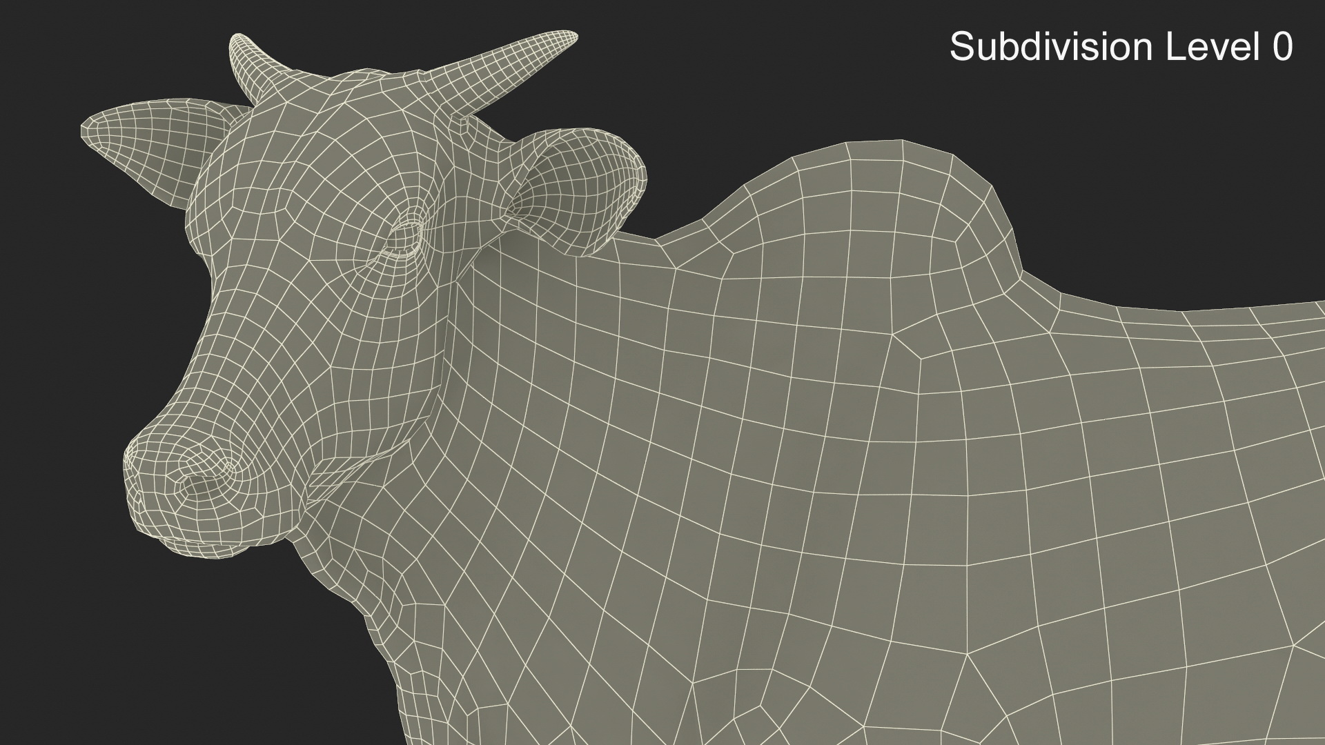 3D Zebu Cattle Male Looking Fur model