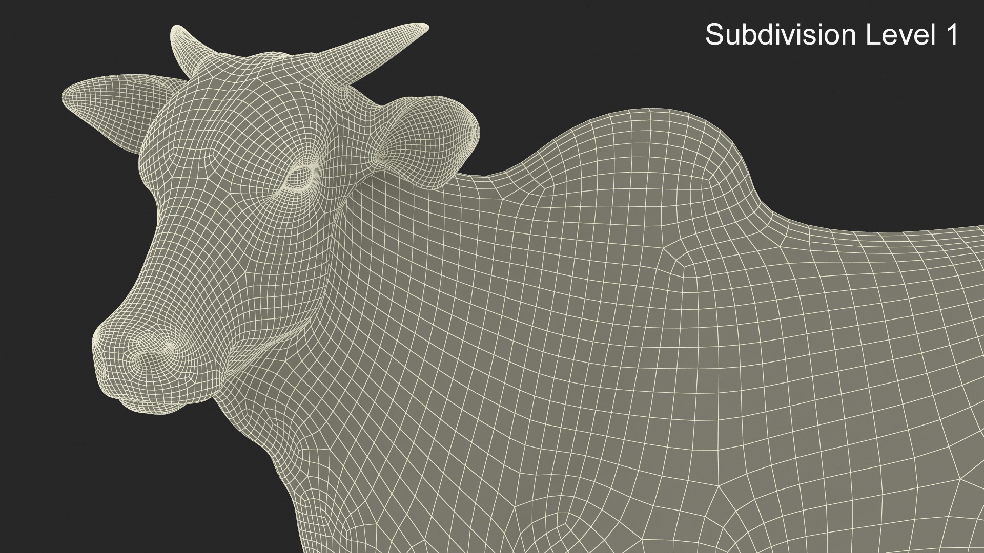3D Zebu Cattle Male Looking Fur model