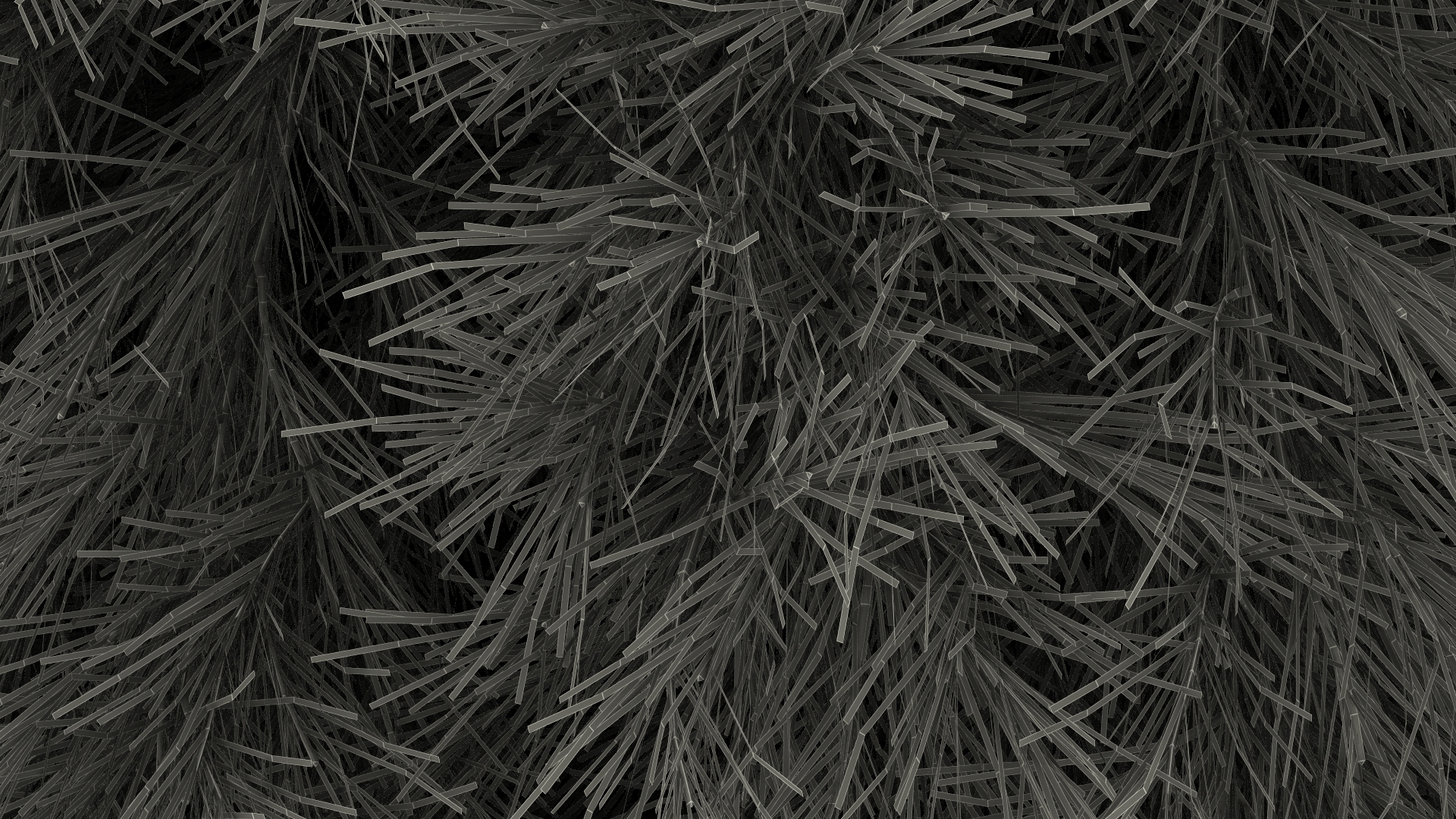 Acacia Cognata Tree 3D model