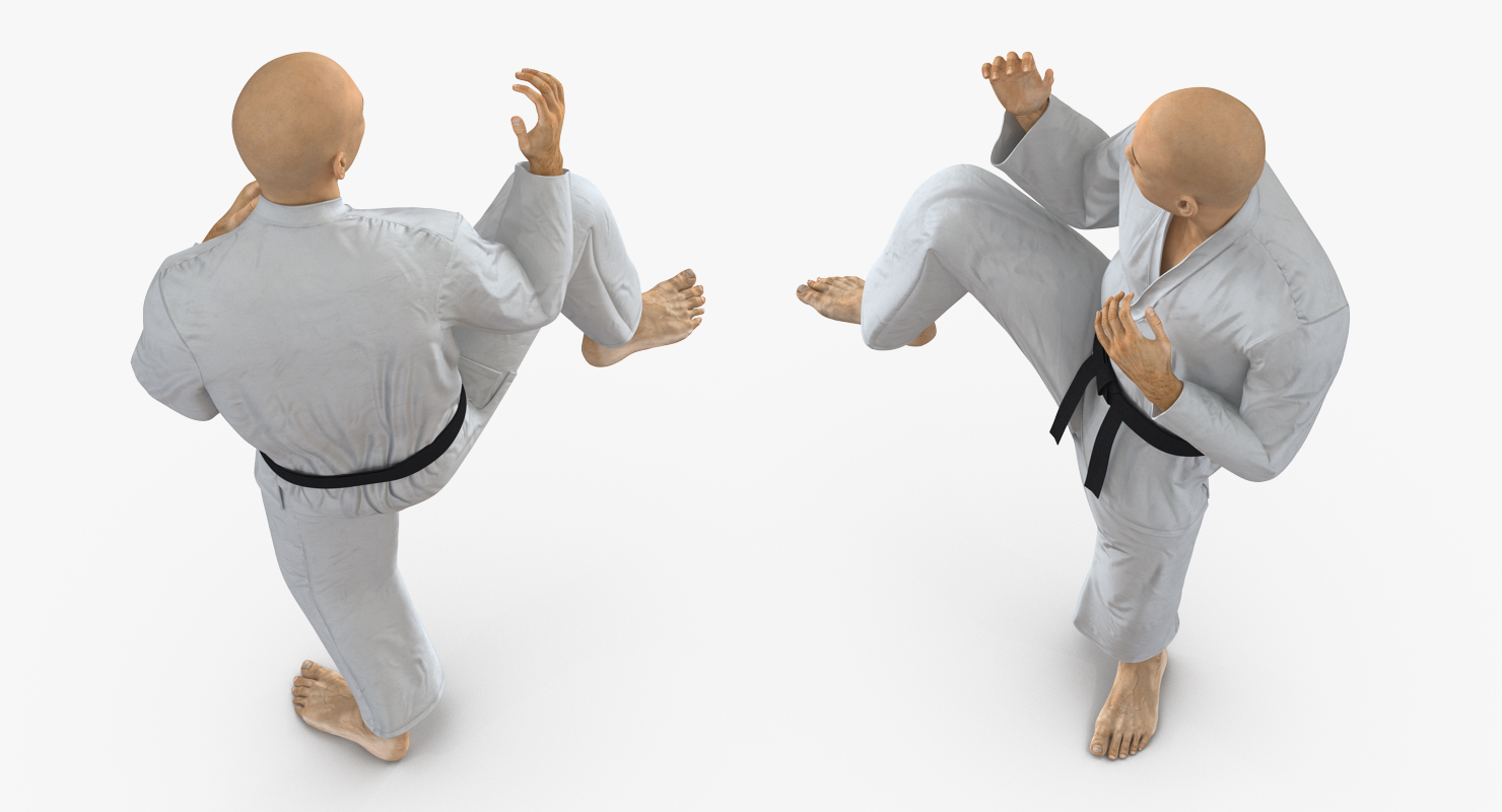 3D model Japanese Karate Fighter Rigged